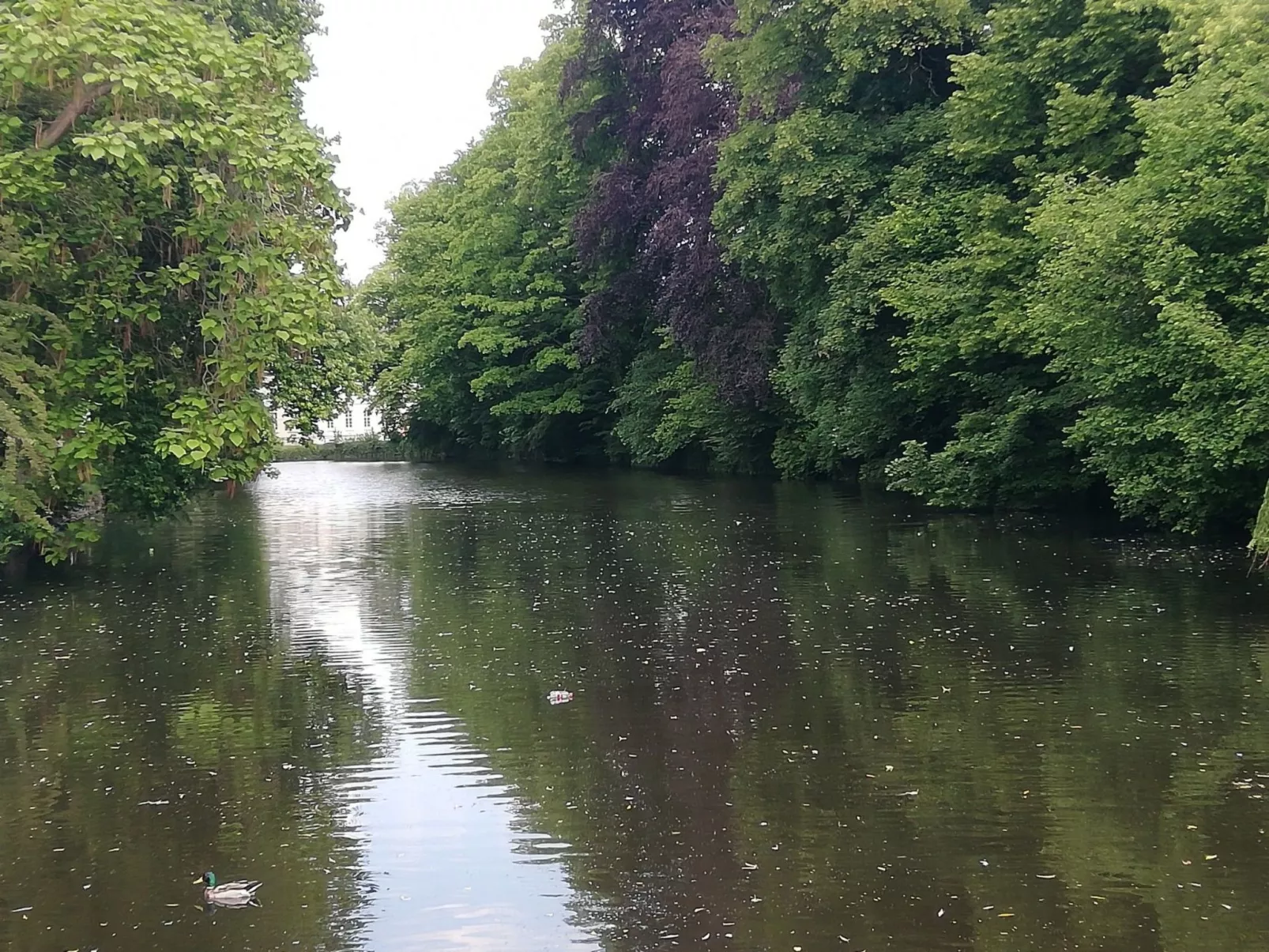 Apartment Lercher-Draußen