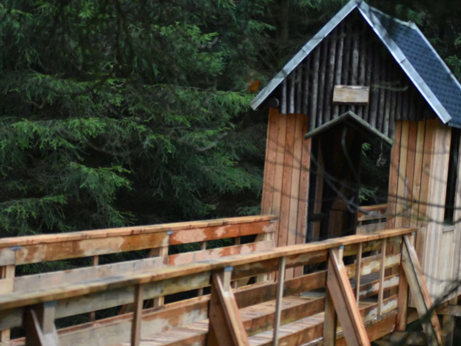 FeWo Siebert-Draußen