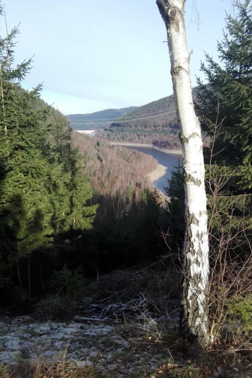 Im Thüringer Wald mit Grill und Garten-Image-tags.info