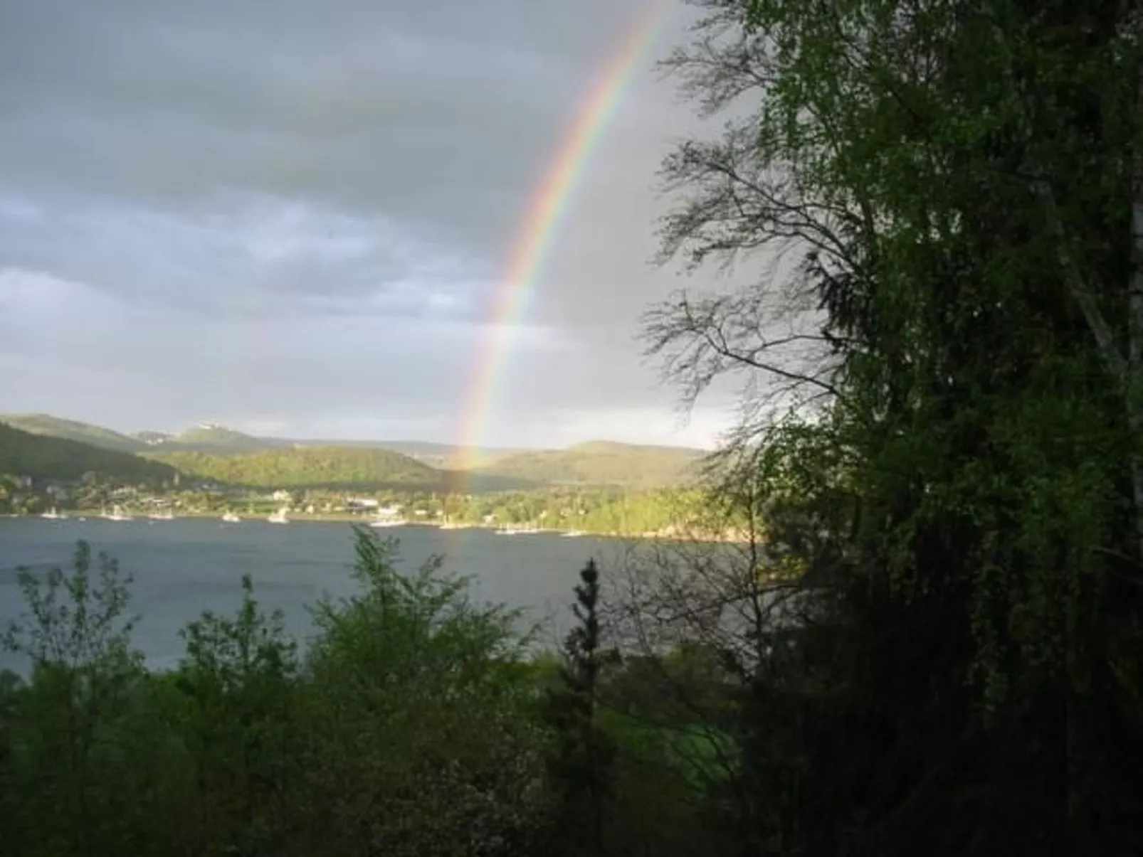 Waldblick in Vöhl-Basdorf-Draußen