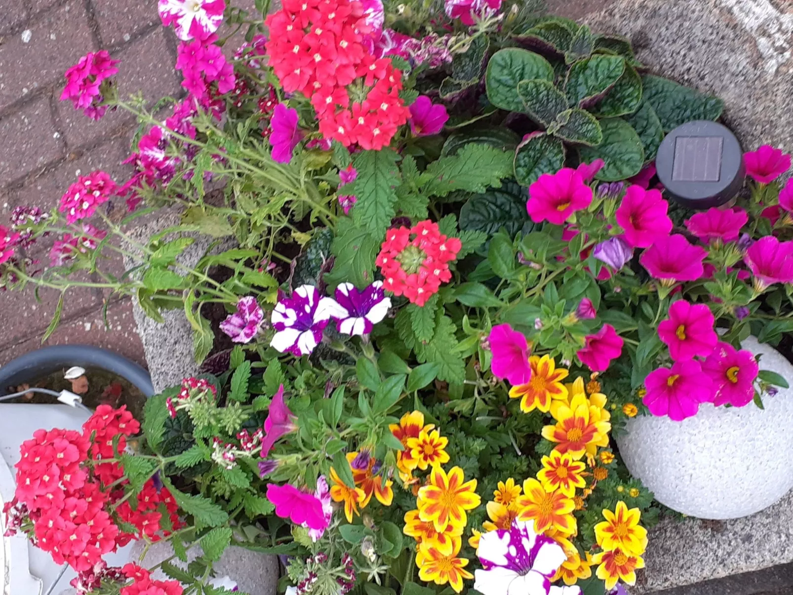 FeWo- Monteurwohnung-Outside