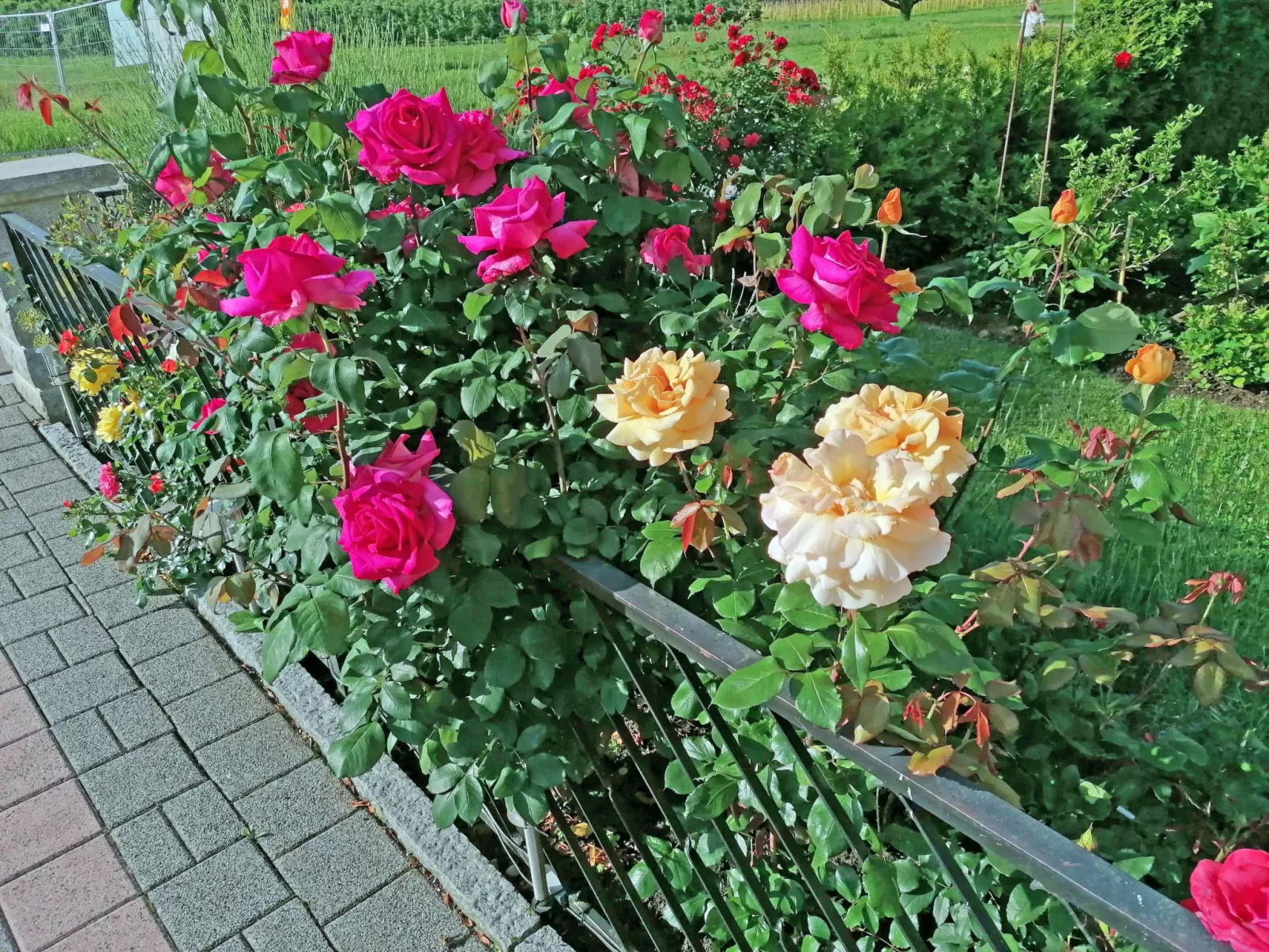 Ferien-Apartment-Draußen