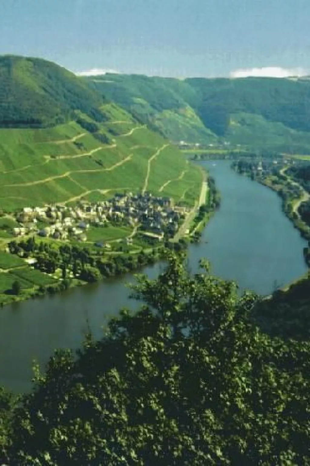 Altes Winzerhaus in Mesenich-Dehors