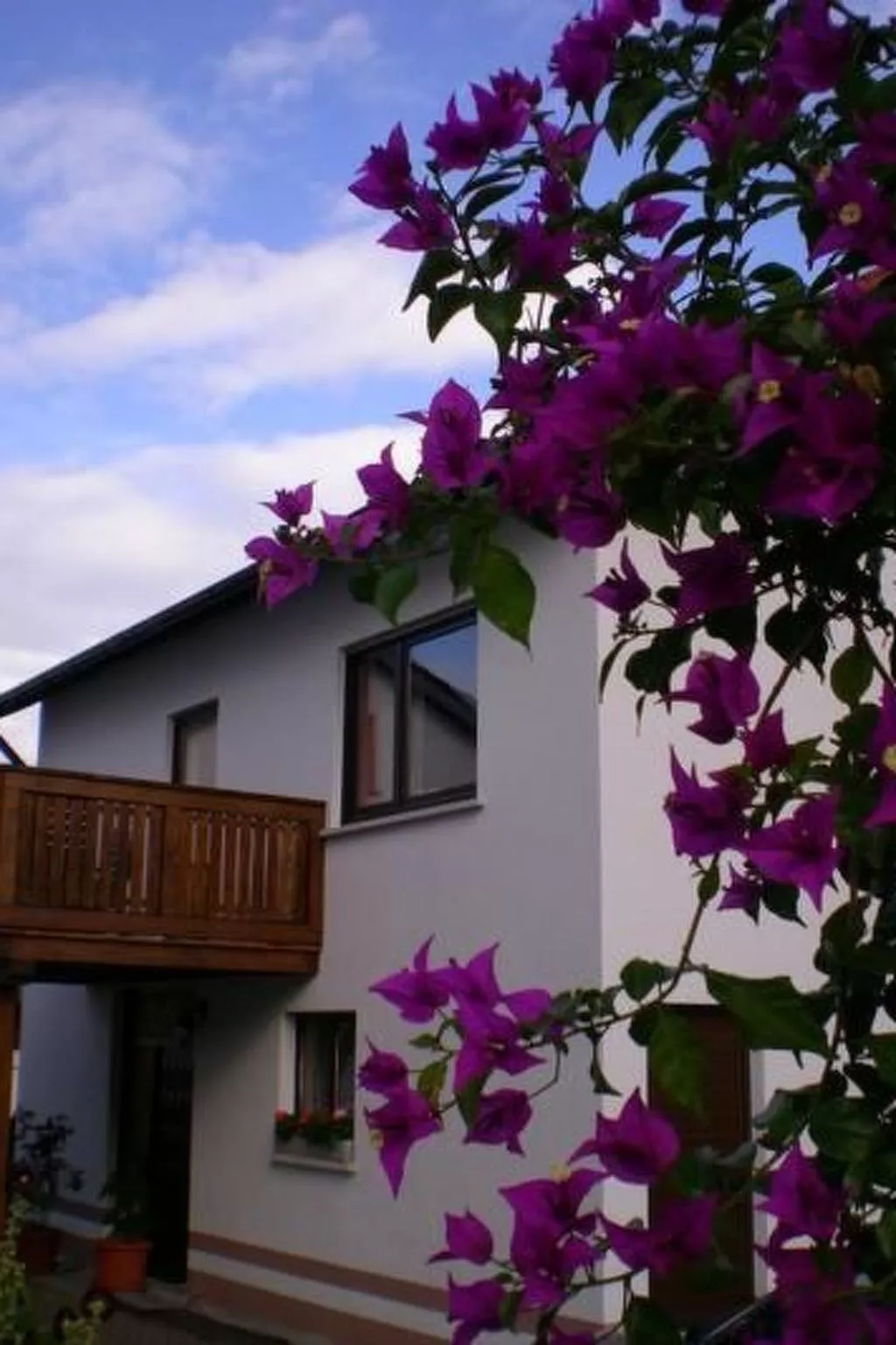 Casa Maria in Ehrenberg an der Rhön-Draußen