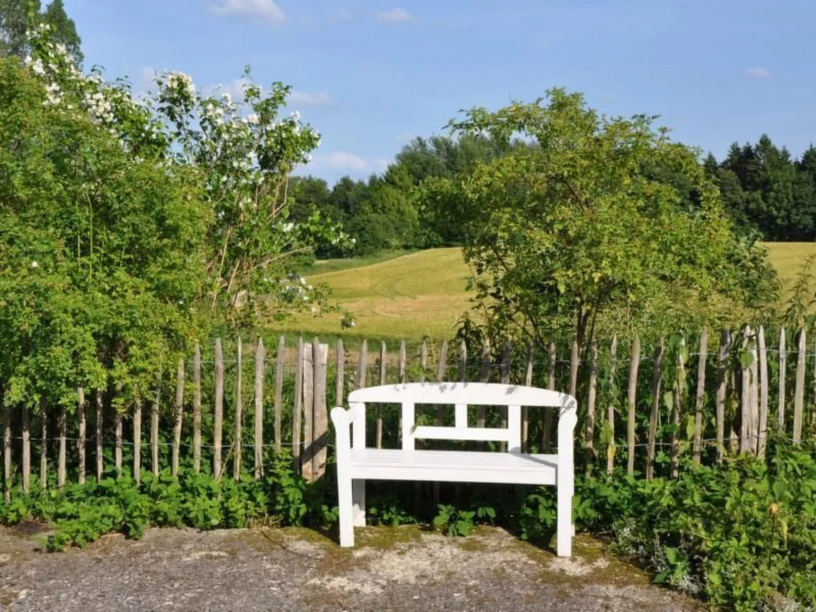 Hof Rodenkrog Fewo 2-Image-tags.info