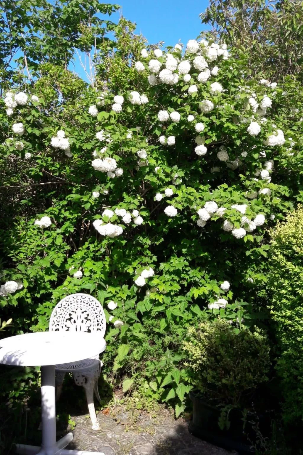 Apartment im Friesenhaus Dikhü-Outside
