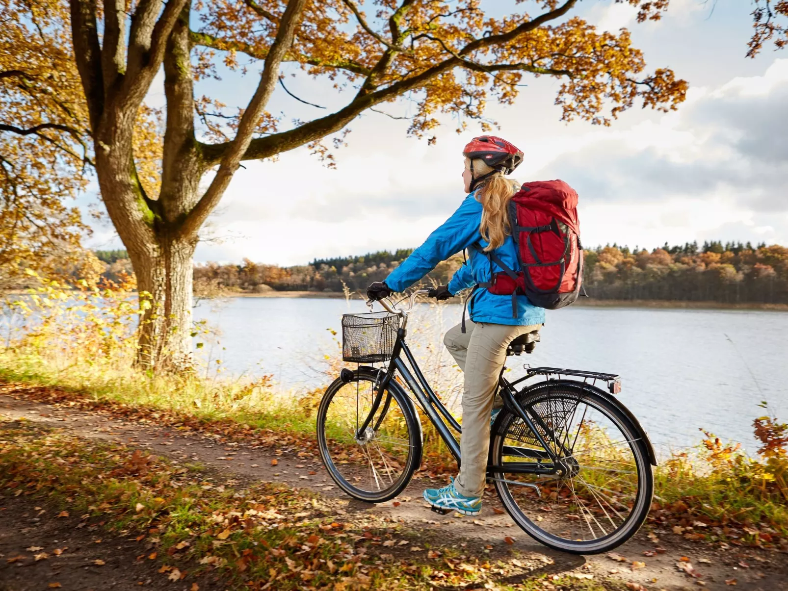 Paradisvilla-Image-tags.info