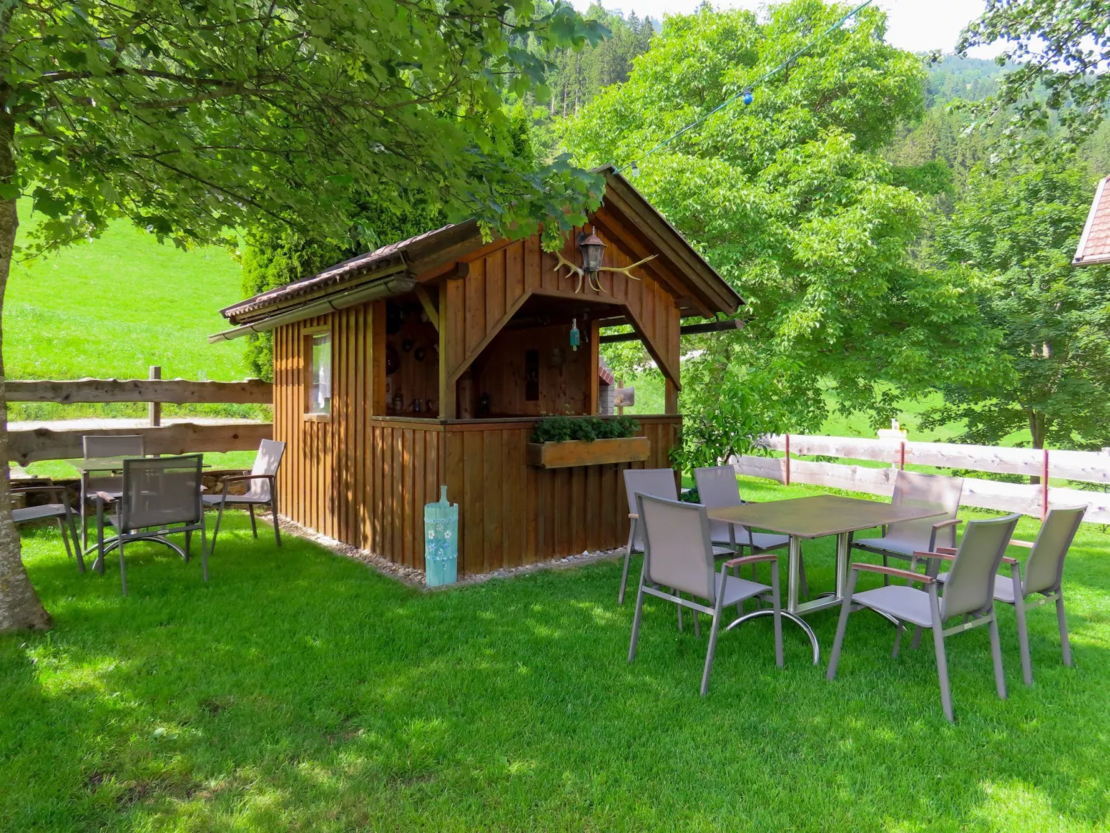 Waldblick in Steinfeld-Dehors