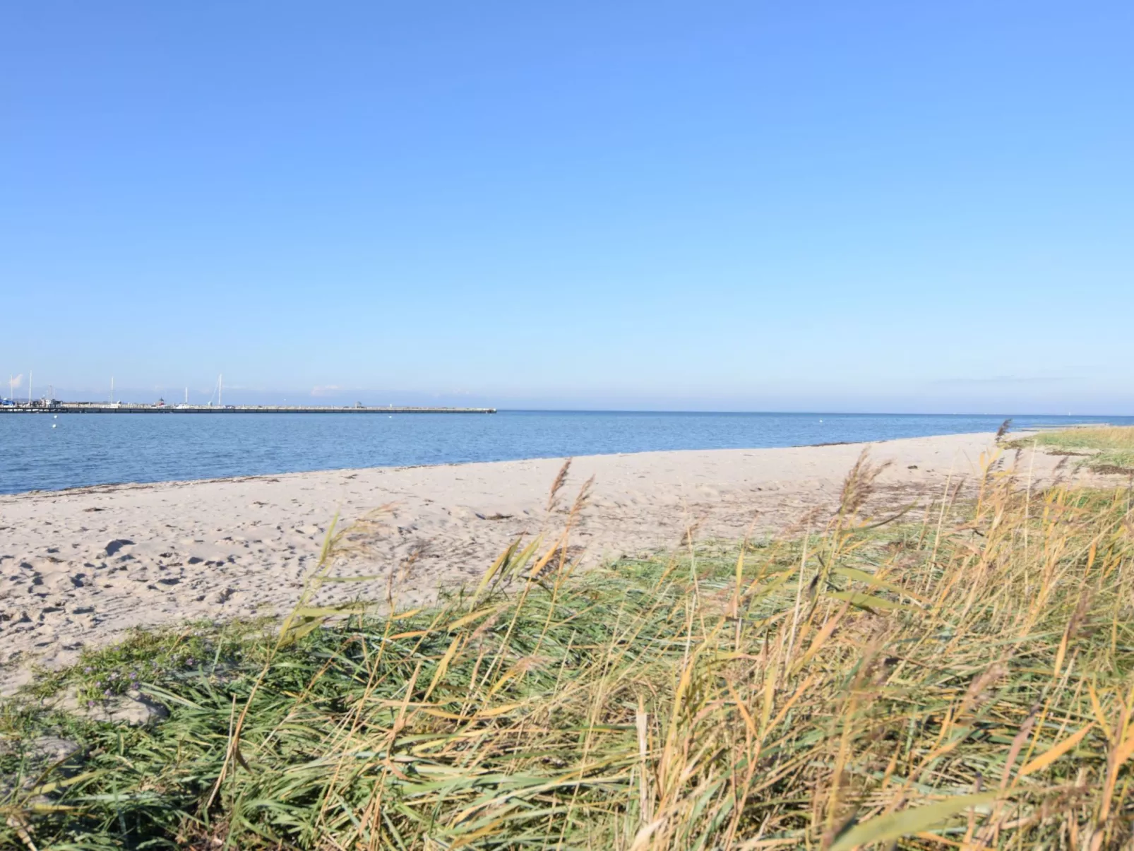 Skandiavisches Ferienhaus an der Geltinger Bucht-Outside
