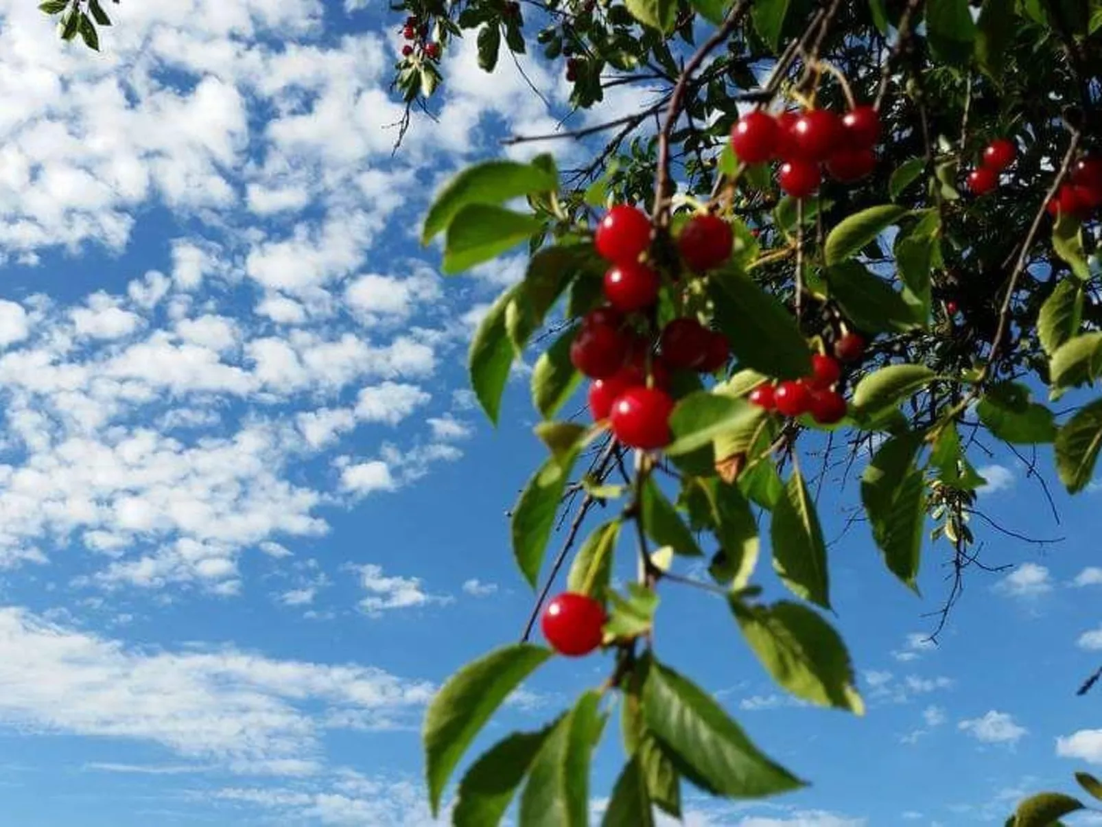 Bauernhaus-Wohnung bei Göta Älv in der Nähe von Göteborg - Image-tags.info