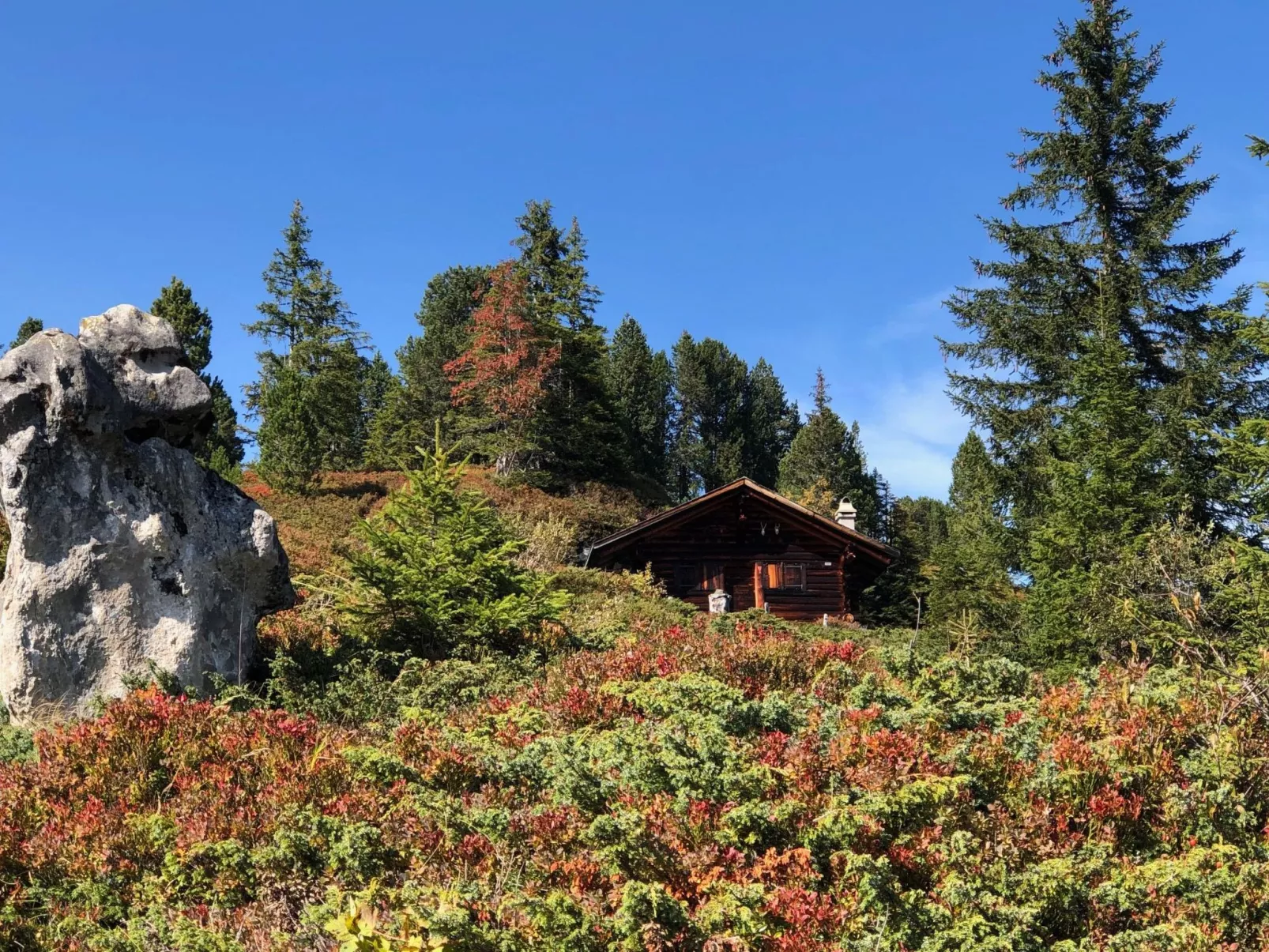 Wohnung Niesenblick-Dehors