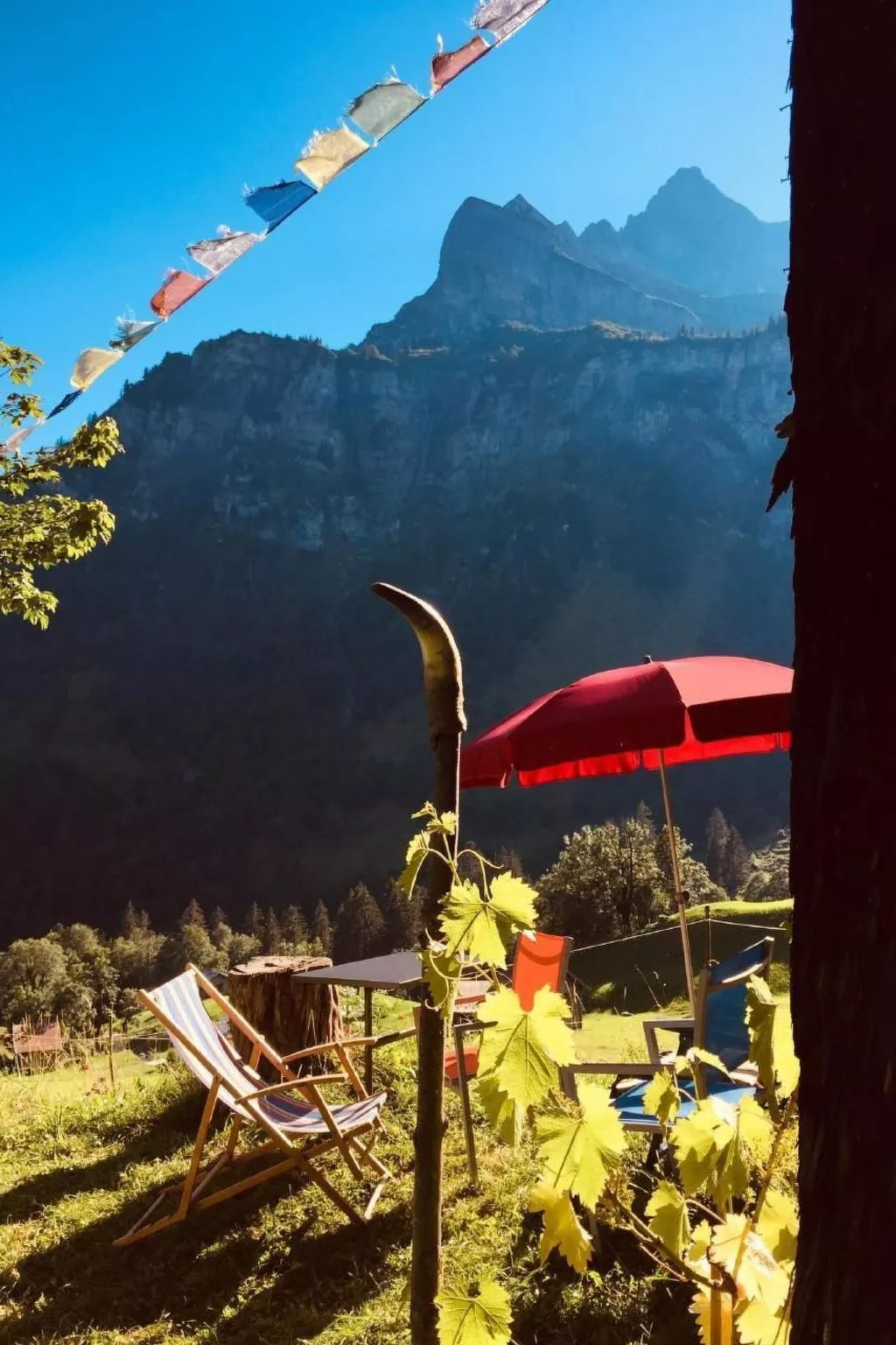 Rietberg 8 Braunwald-Image-tags.info