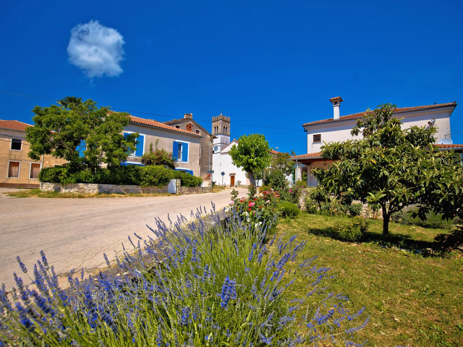 Wohnung 'Villa Plavo mehr-Environnement