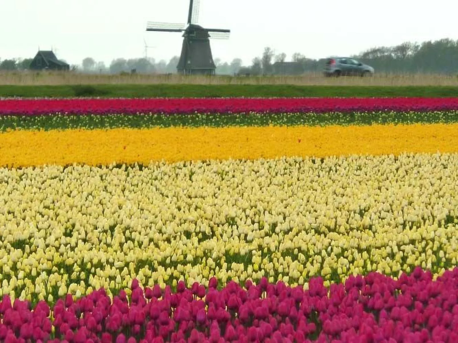 De Blenck 66-Outside