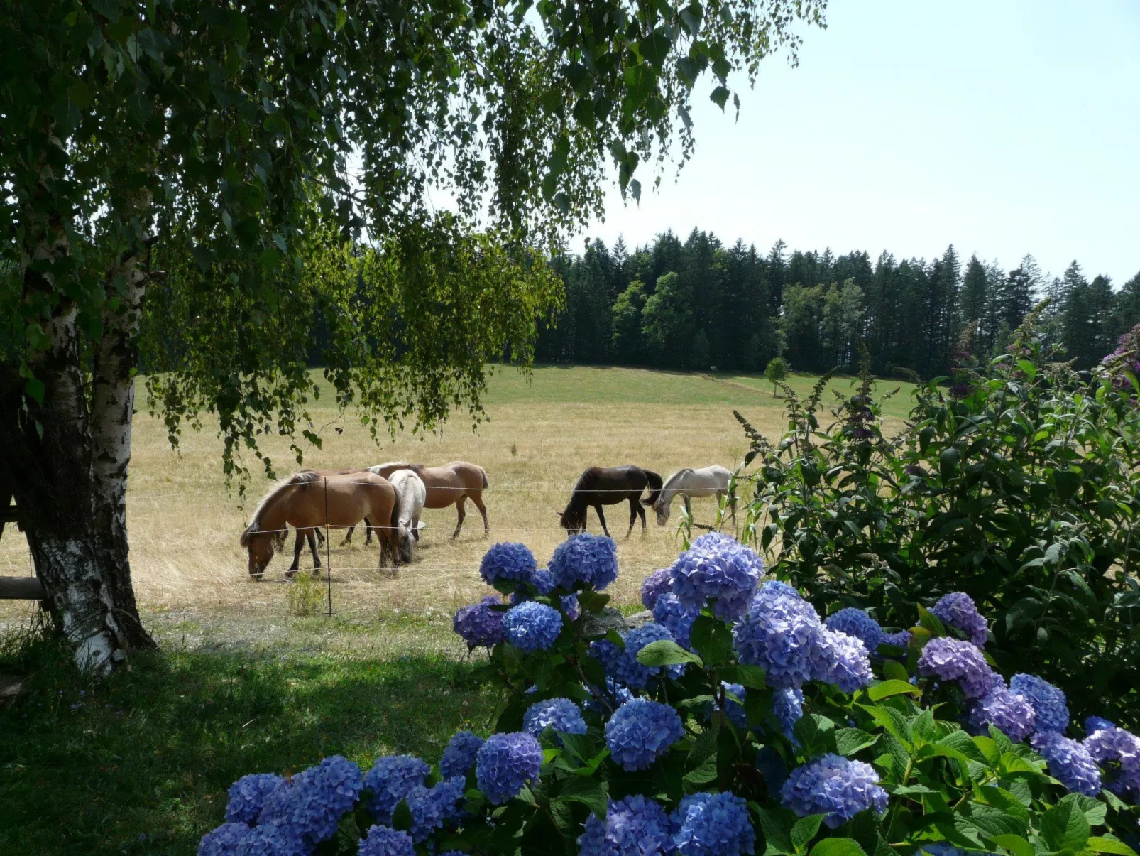 Mit Bergblick-Image-tags.info