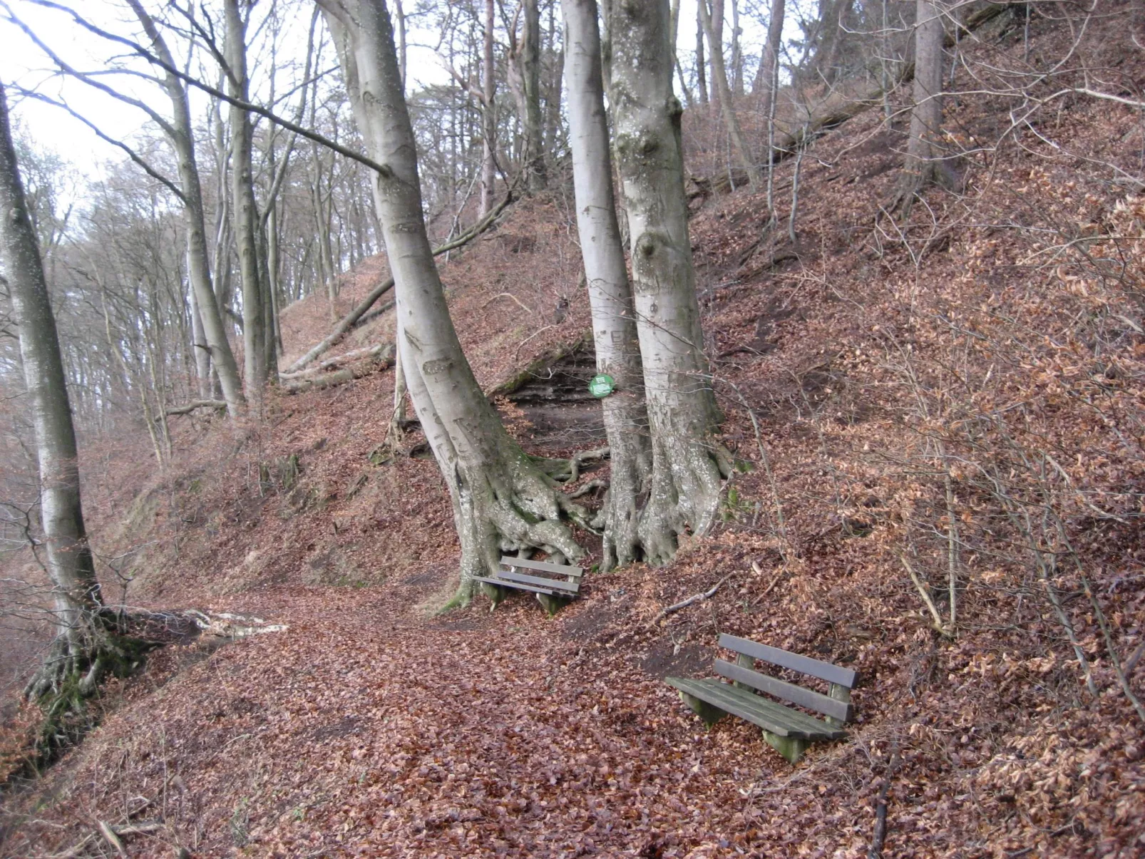 In der Vulkaneifel-Outside