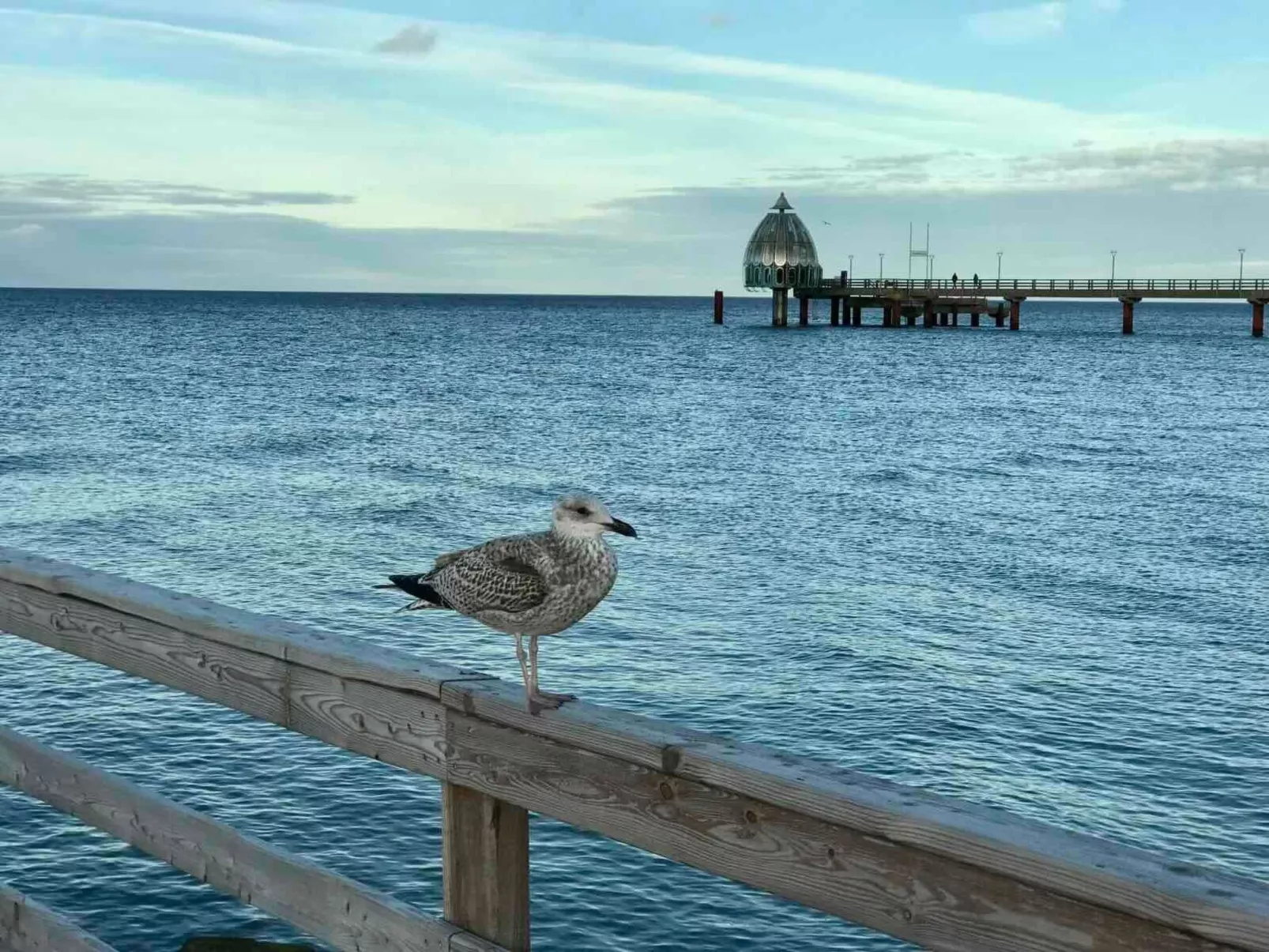 Wiesenblick 5-Outside