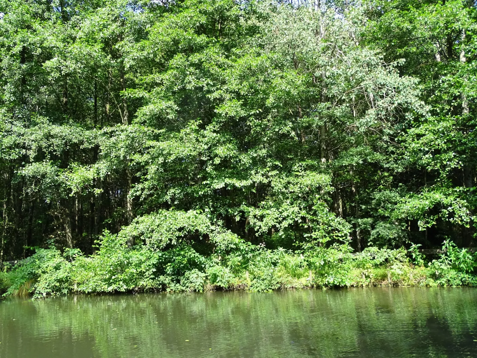 Haus Victoria-Outside