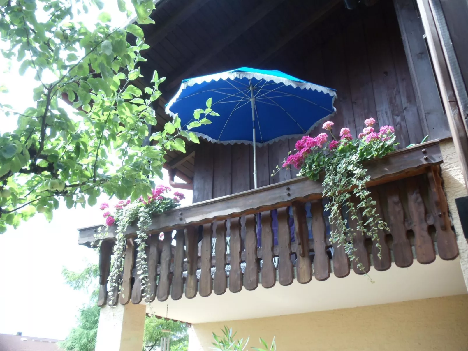 Martina-Image-tags.info