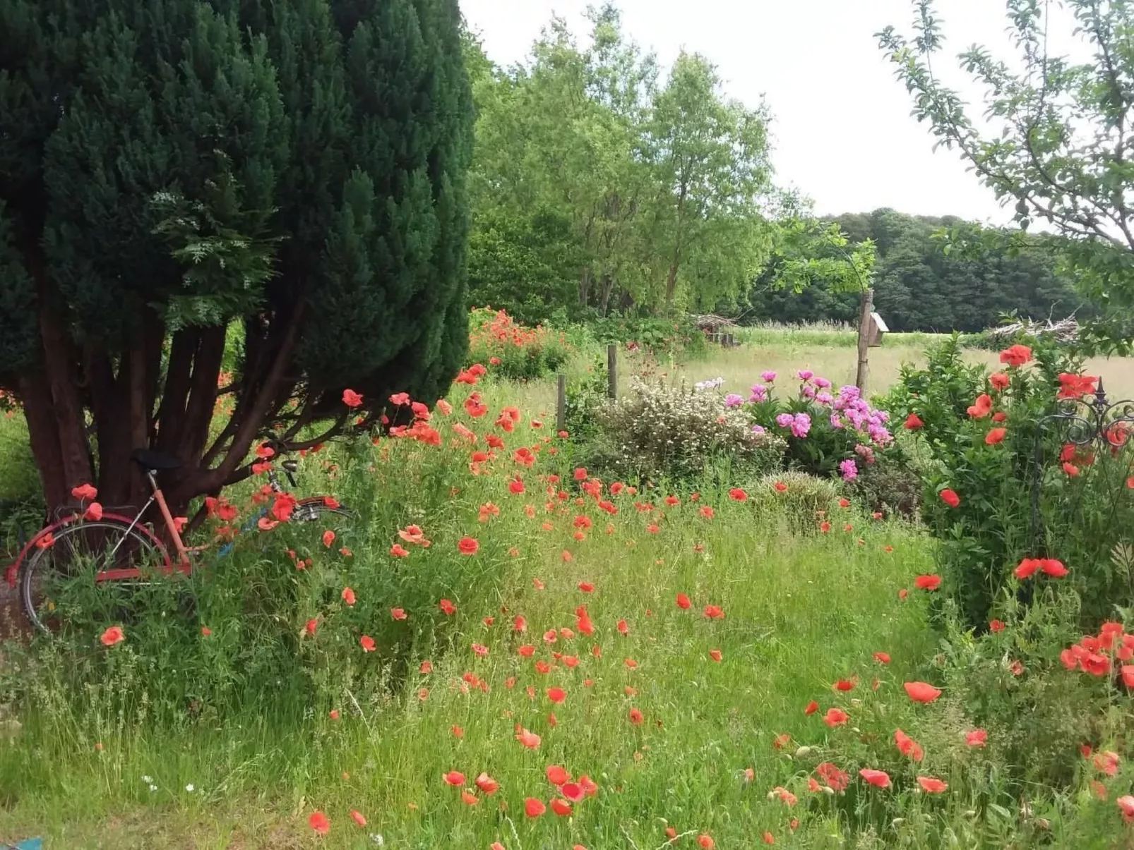 Schwalbennest-Outside