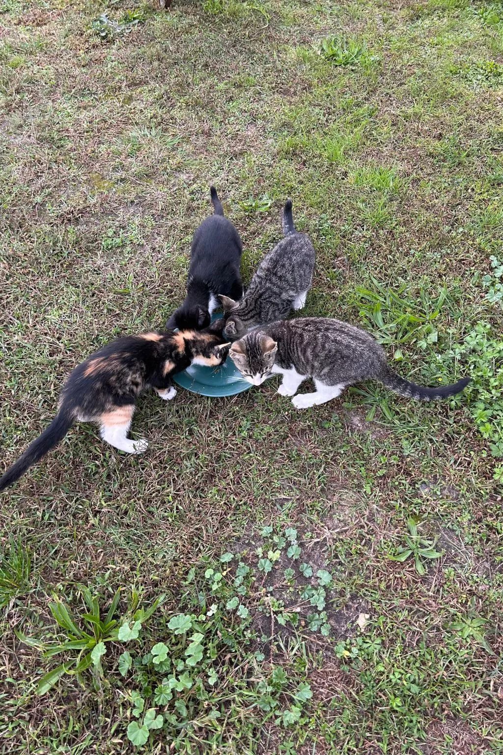 Am Schwielochsee-Outside