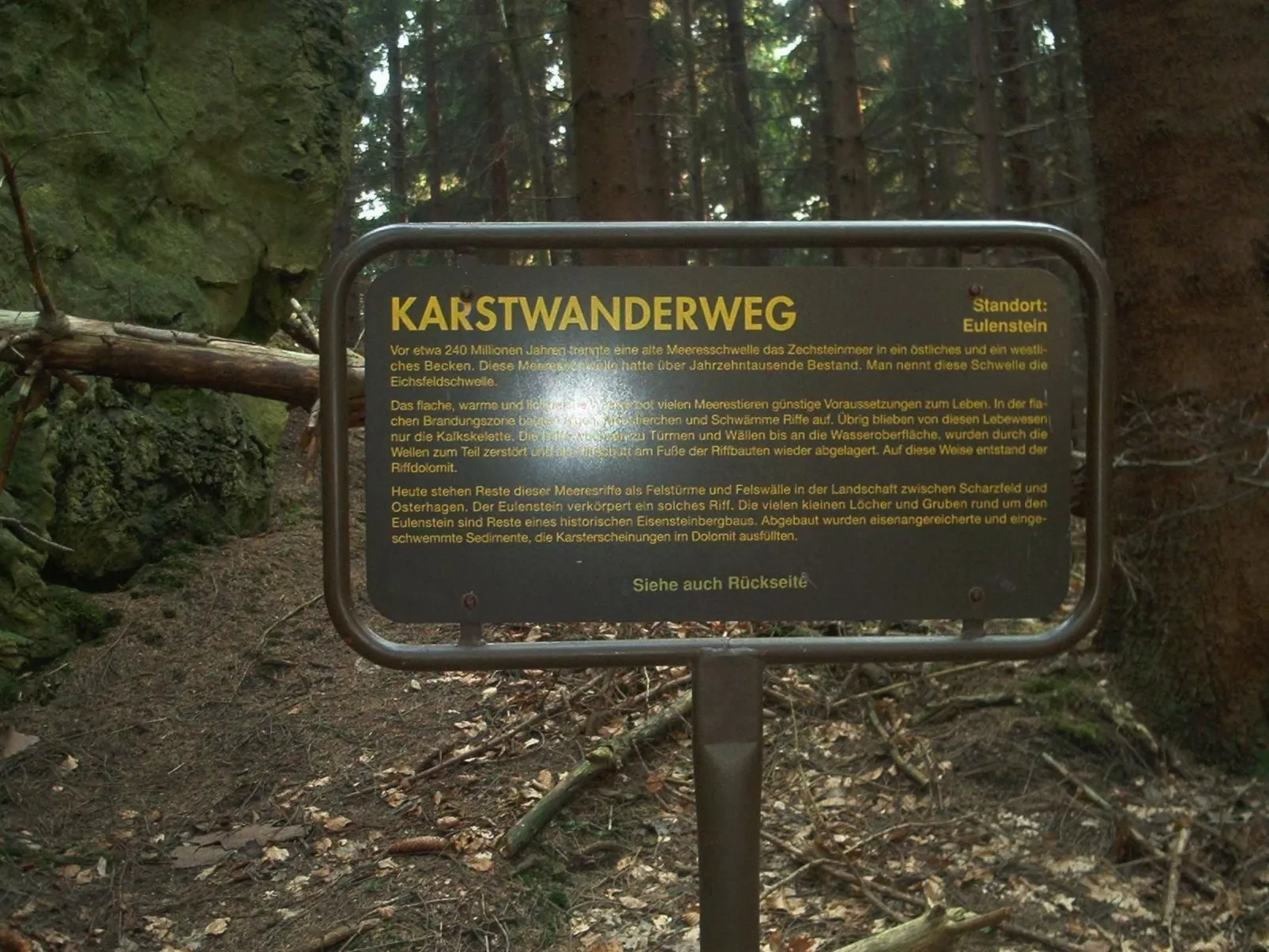 Fewo Stricker 11,-Draußen