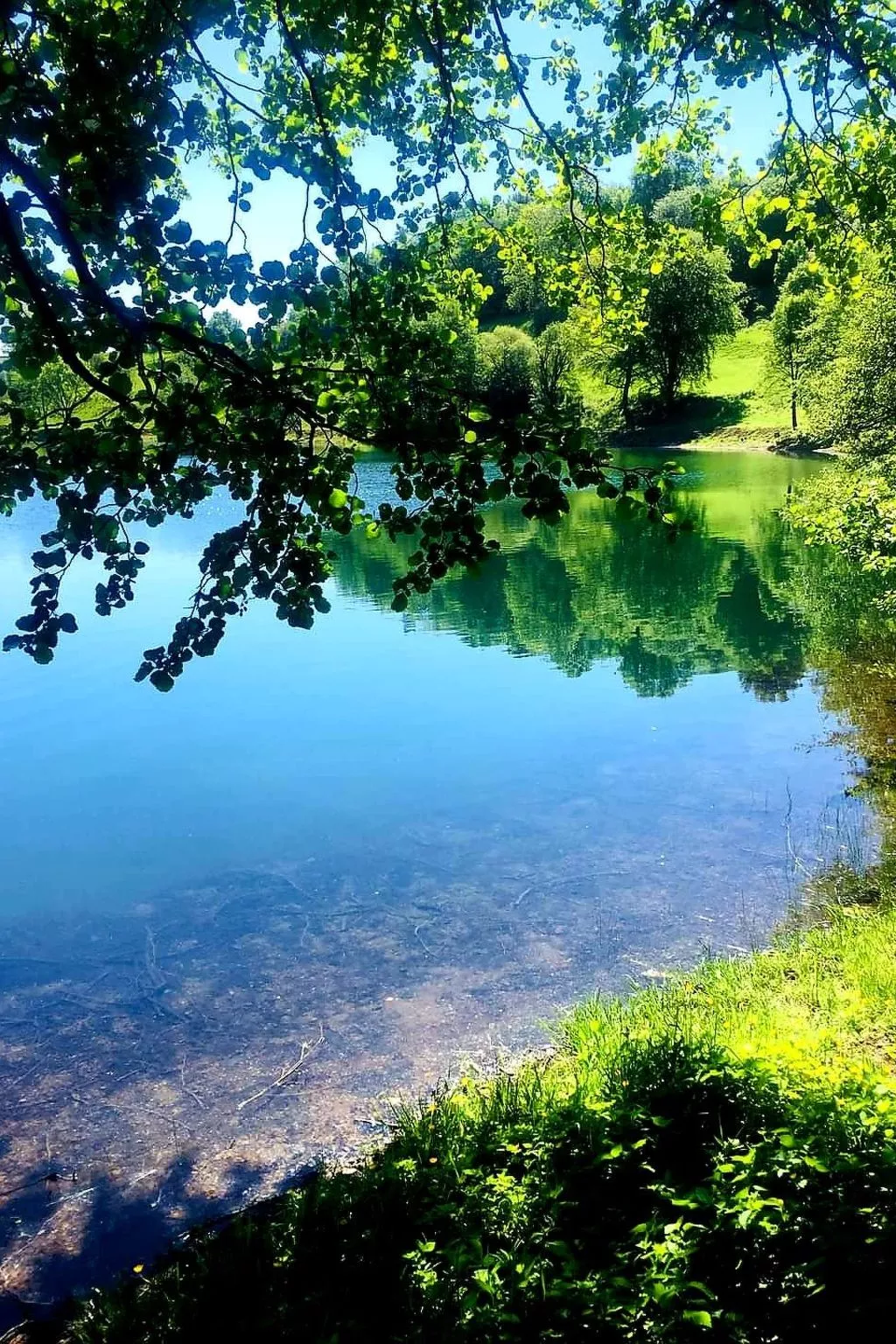 Landhaus Erika-Dehors