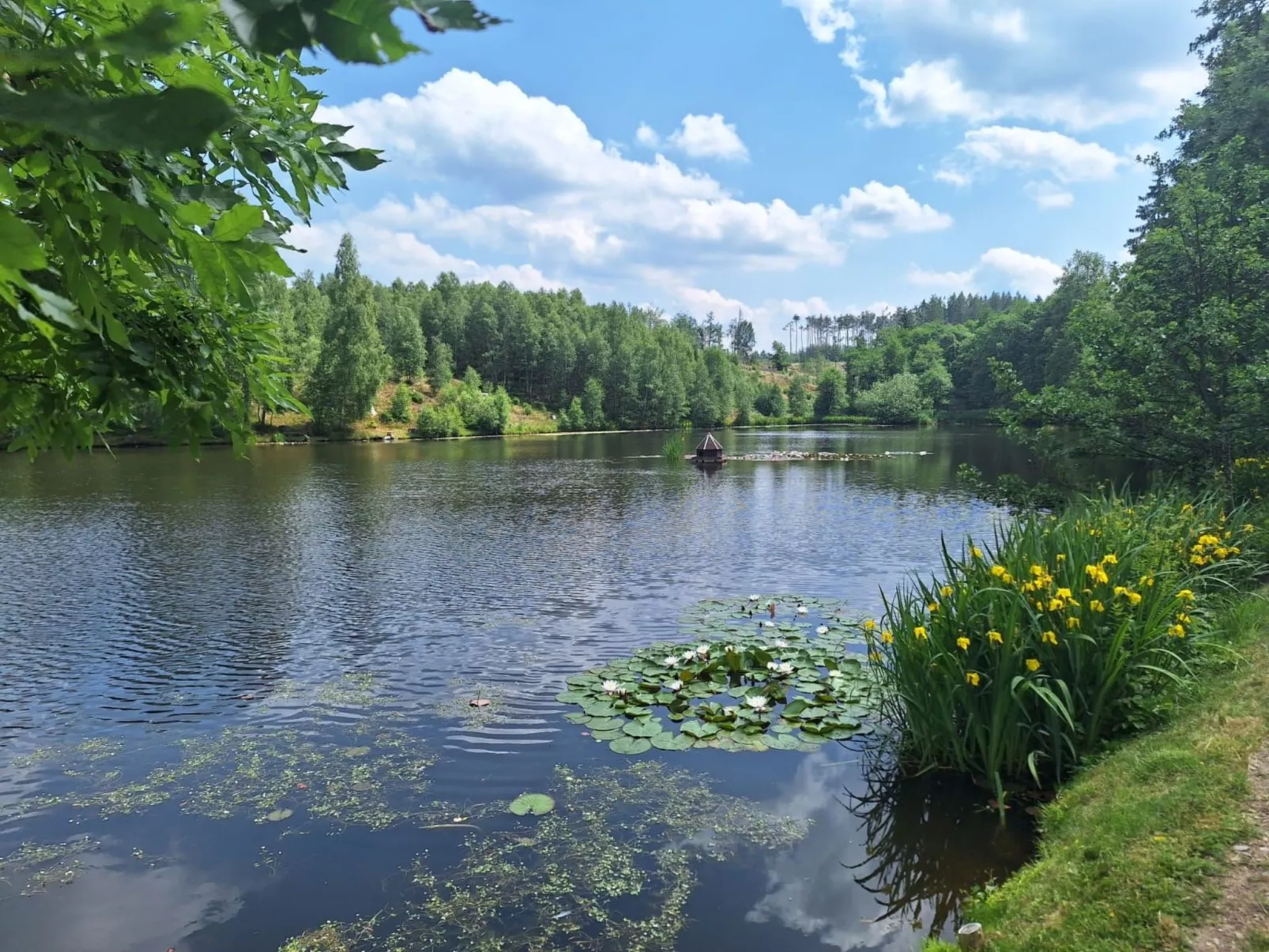 Blauvogel-Image-tags.info