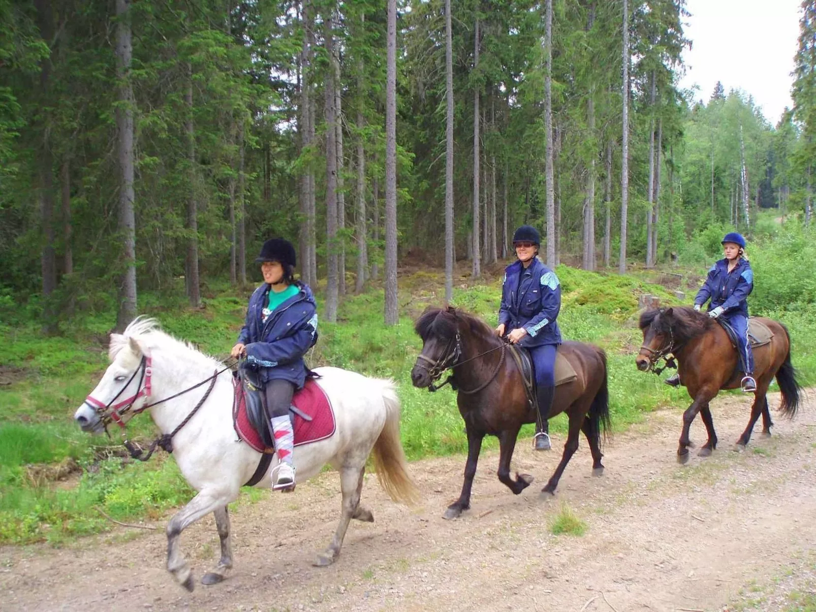 Rosenapartment-Outside