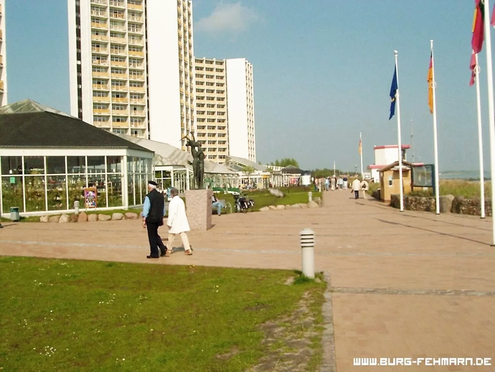 Silbermöwe-Draußen