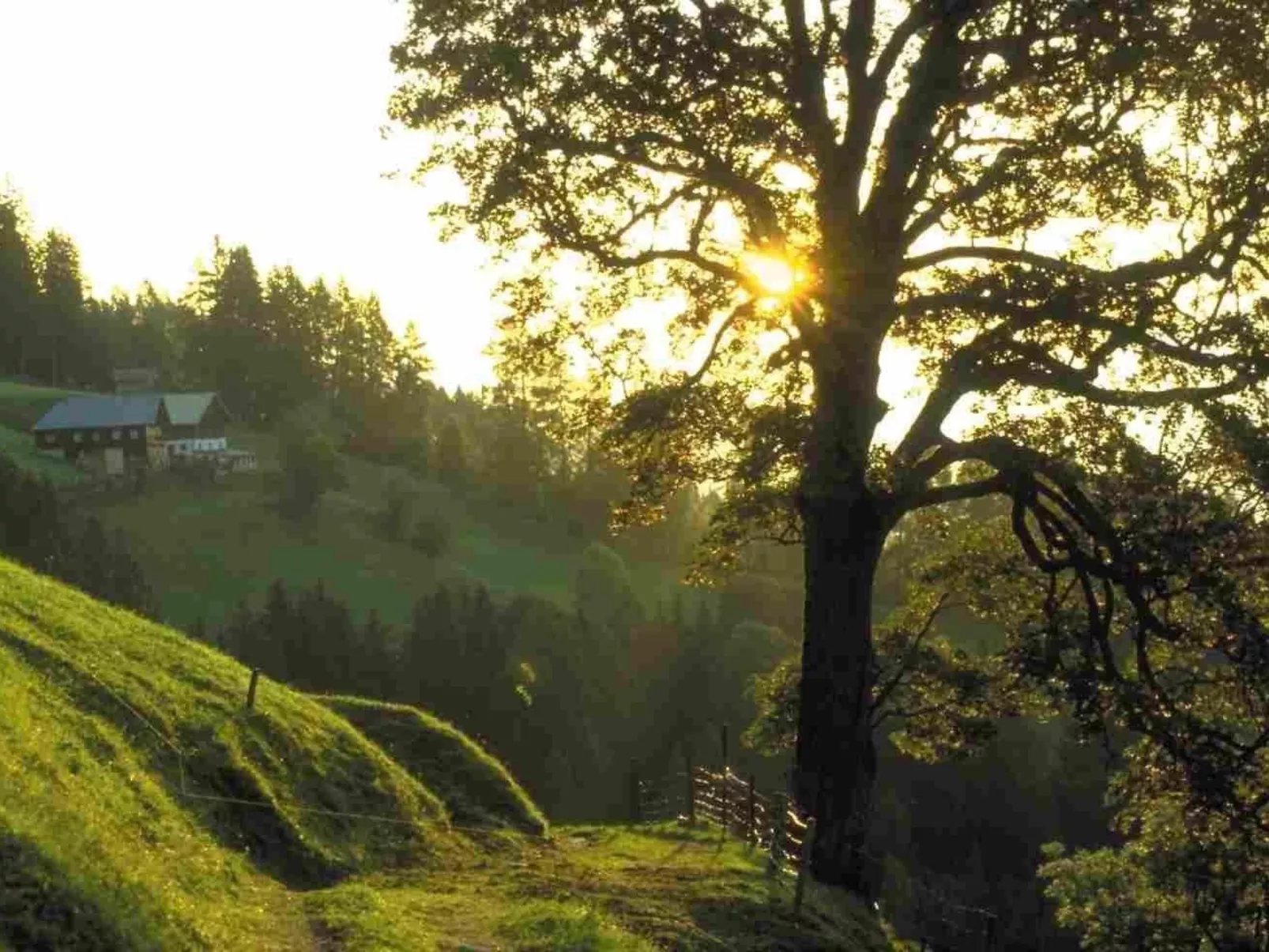 Hans Ebner in Eben im Pongau-Outside