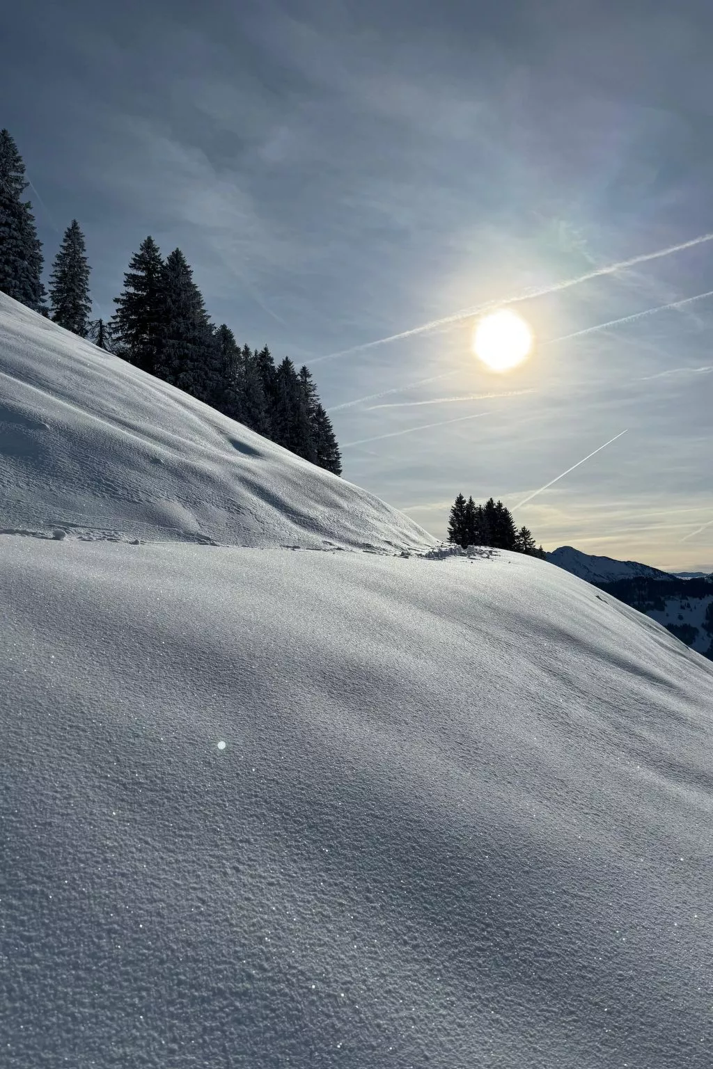 Zwinglis Fewo Klärli-Dehors