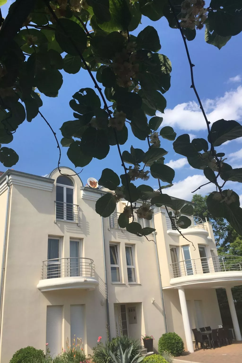 Mit Terrasse-Draußen