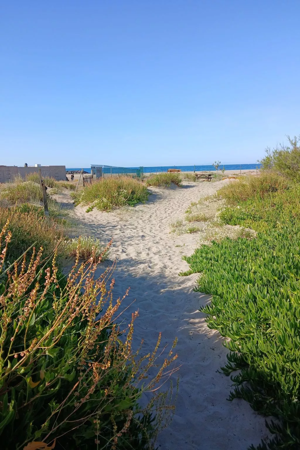 Mobilheim "Les Dunes" mit Blick auf das Wasser-Image-tags.info