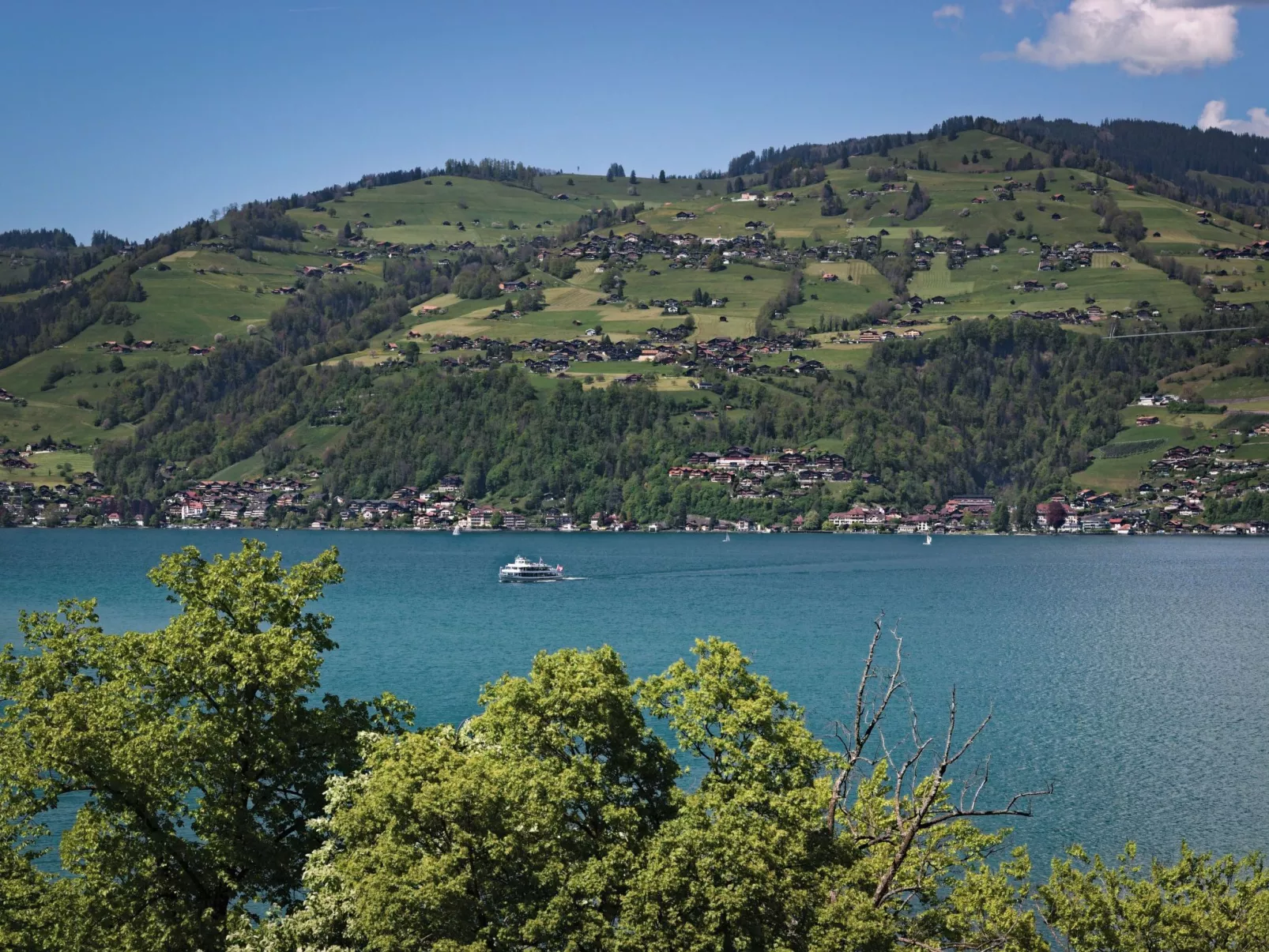 Seepark, direkt am See-Dehors