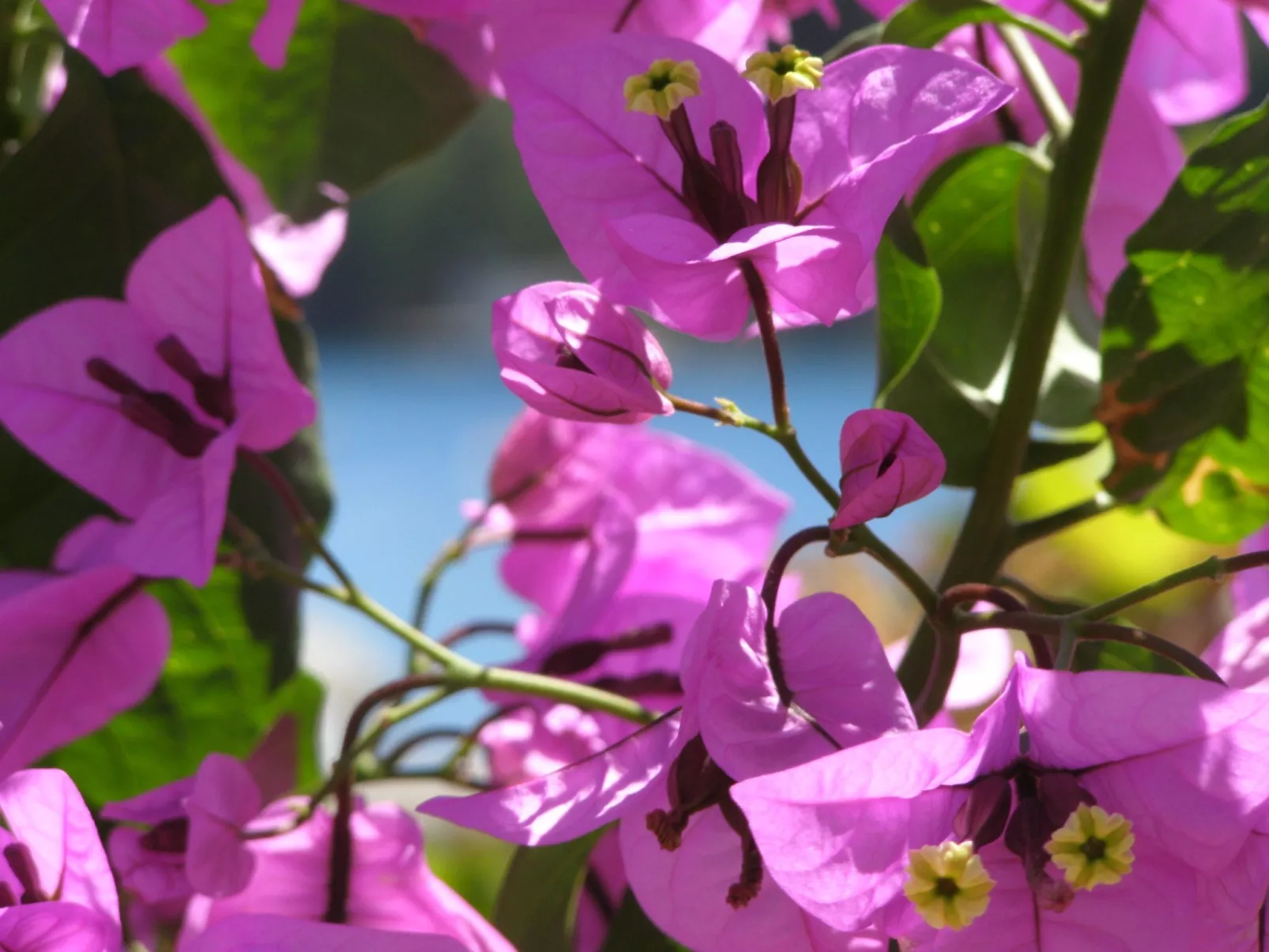 Wohnung mit zwei Schlafzimmern, direkt am Meer-Draußen