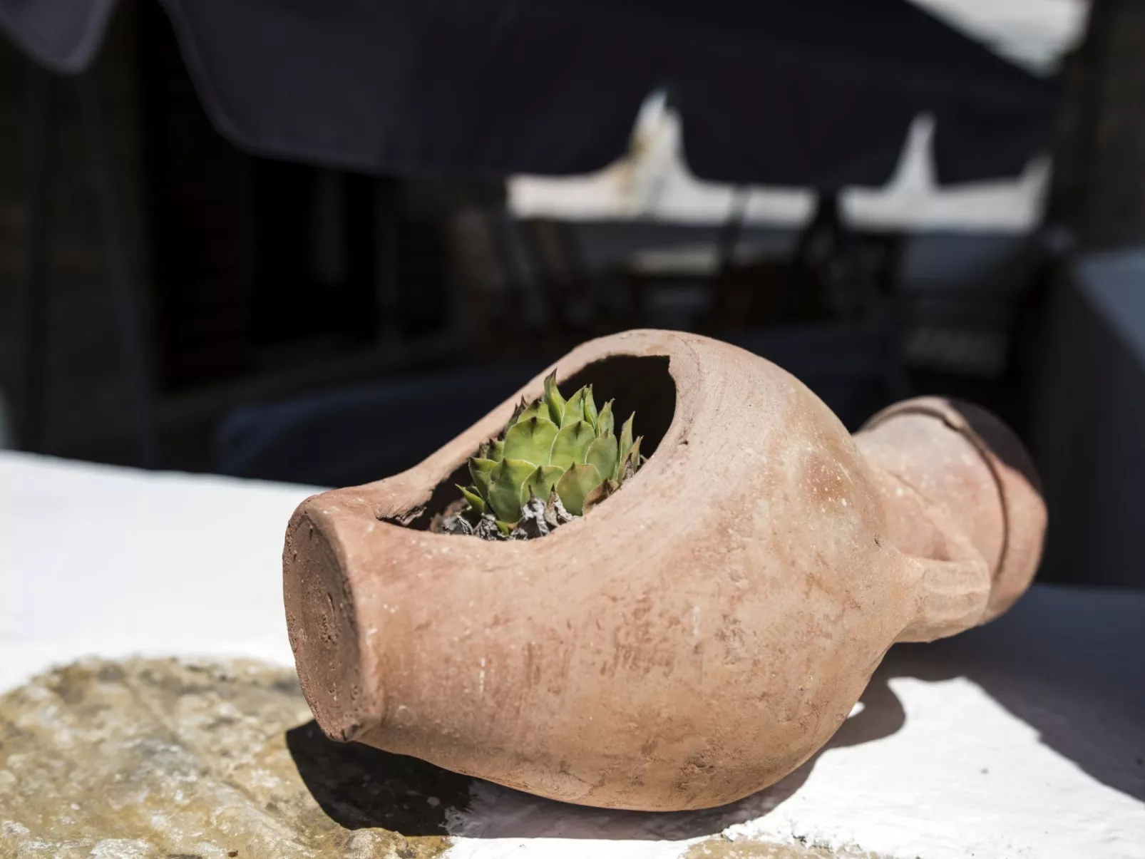 Mit eigenem Pool-Dehors