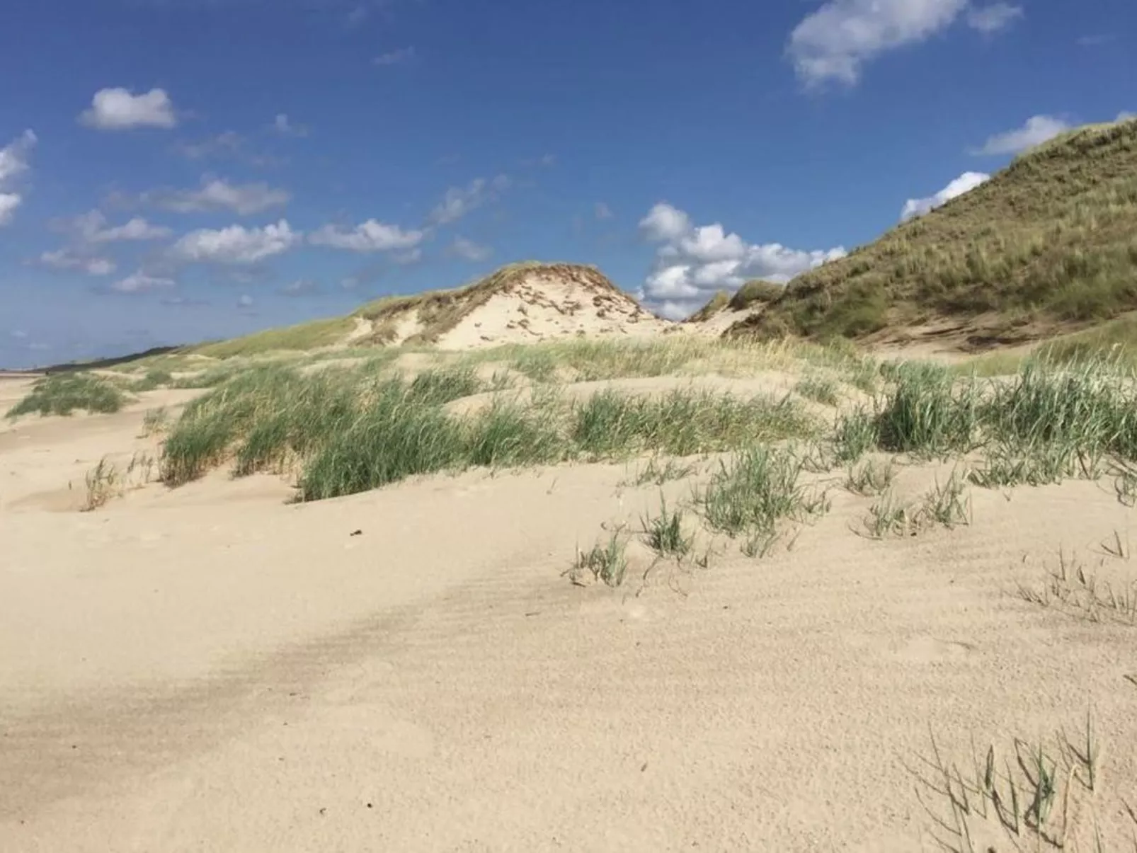 Ferienbungalow Abbes mit Garten und Terrasse-Image-tags.info