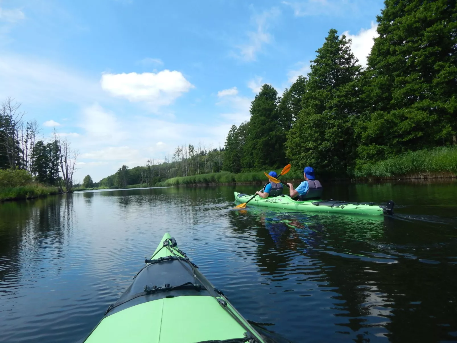 Klosterwald-Draußen