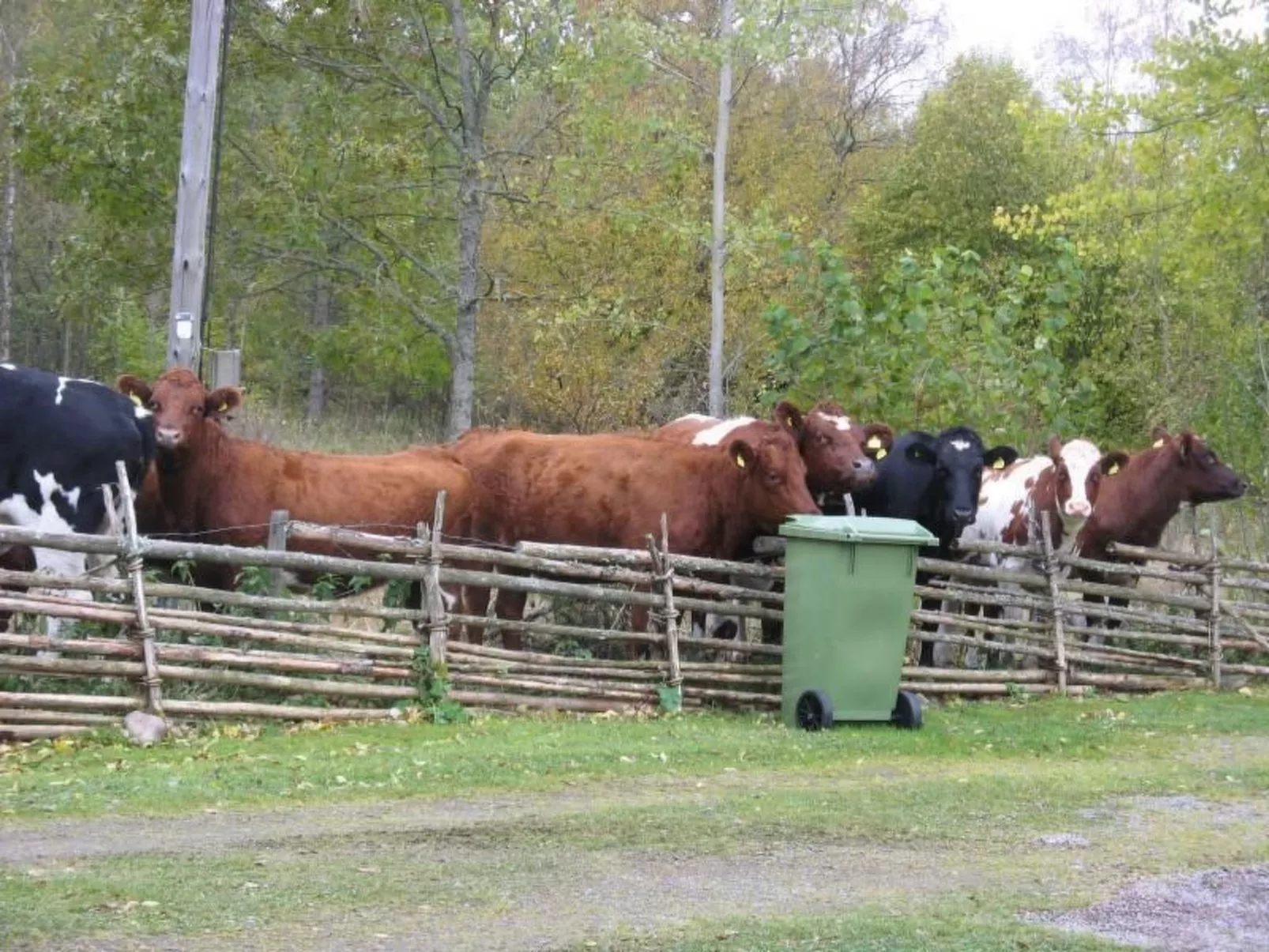 Idyllisches Bauernhaus in Småland-Outside