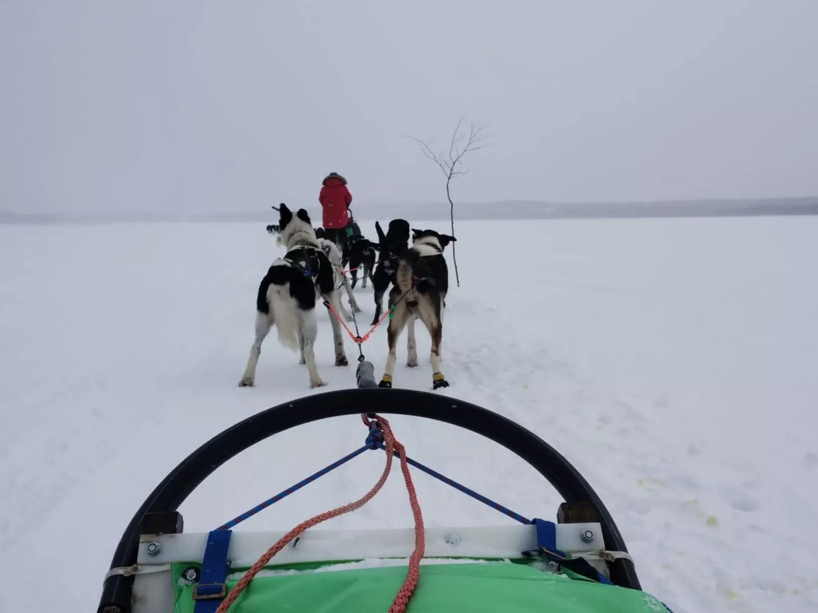 Haus-Lappland-Dehors