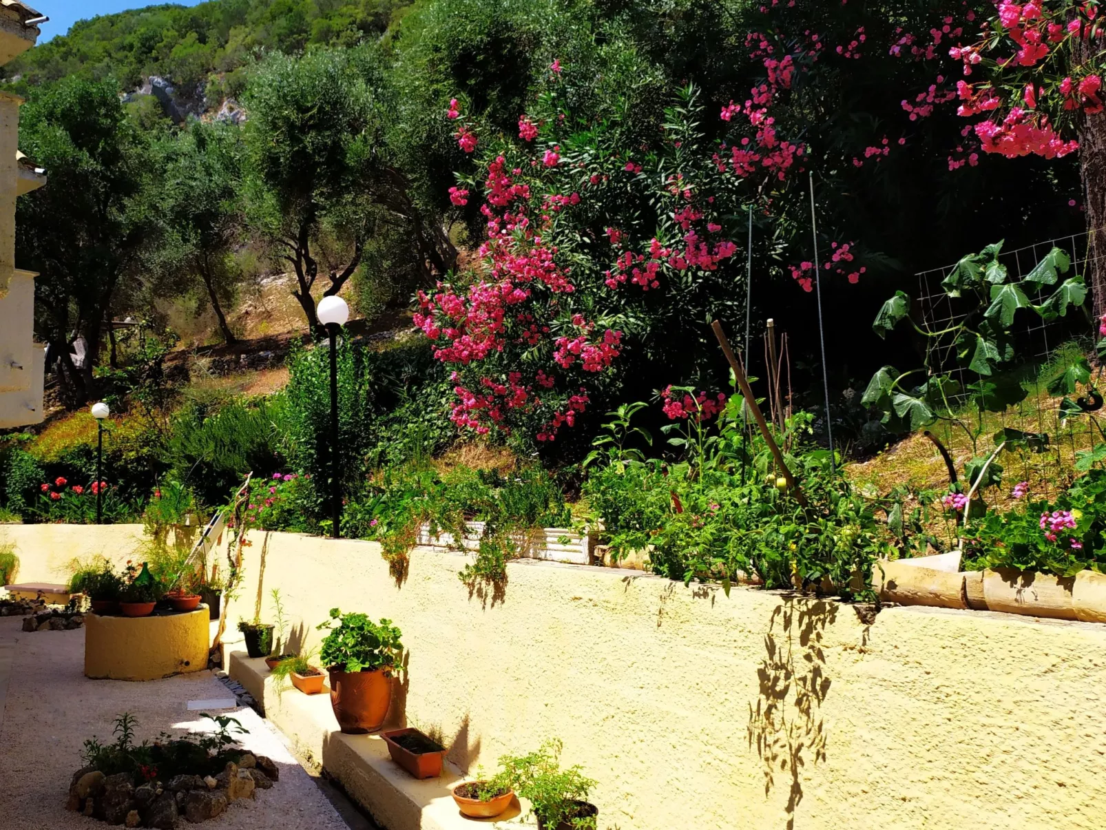 Fantastischer Meerblick-Dehors