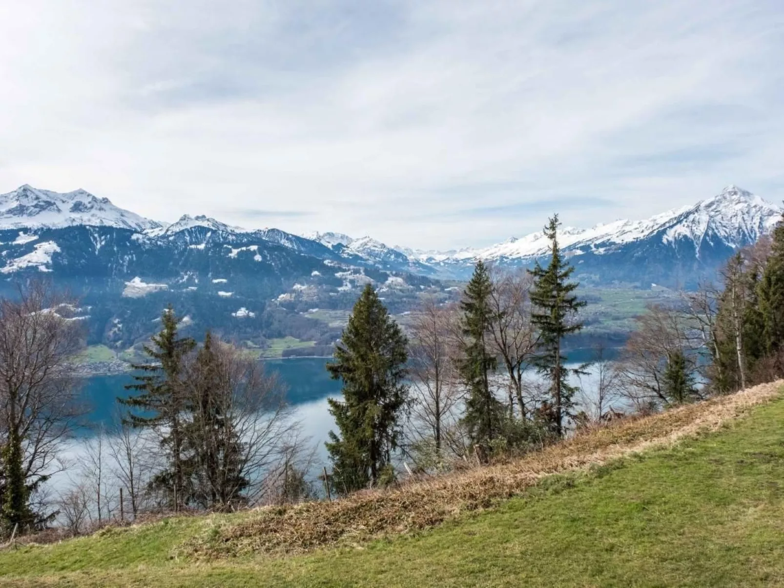 Apartment Alpenrose 2.5 mit Mitbenutzung SPA & Wellness-Image-tags.info