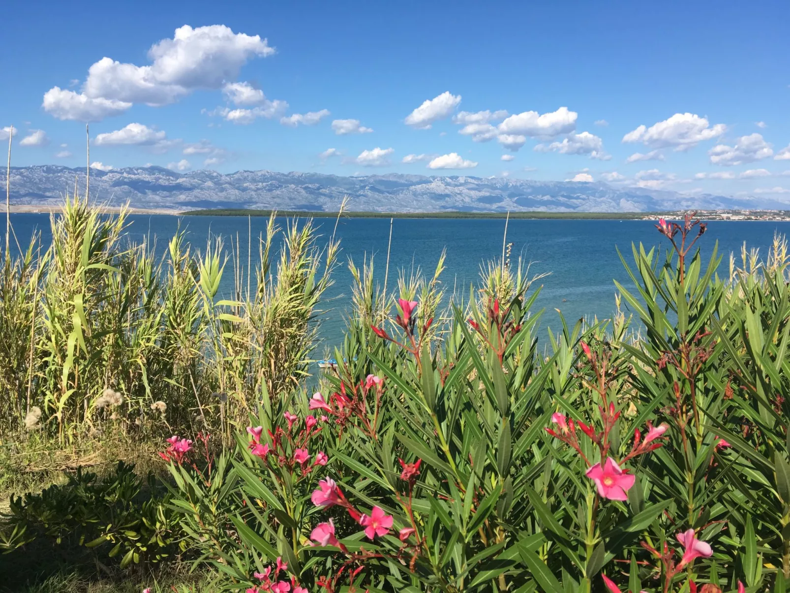 Appartement Kristi in Strandnähe - Agentur TA Leut-Draußen