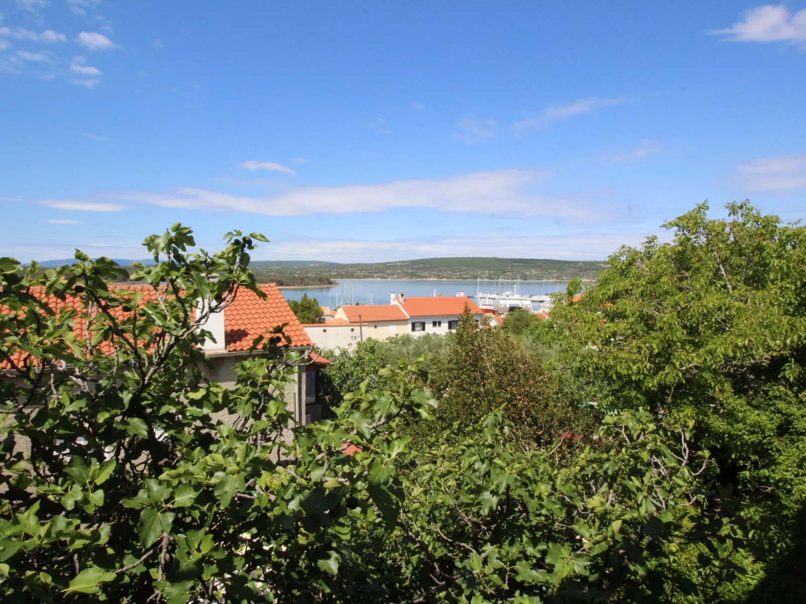 Wohnung "Ruhige Lage Drago-Draußen