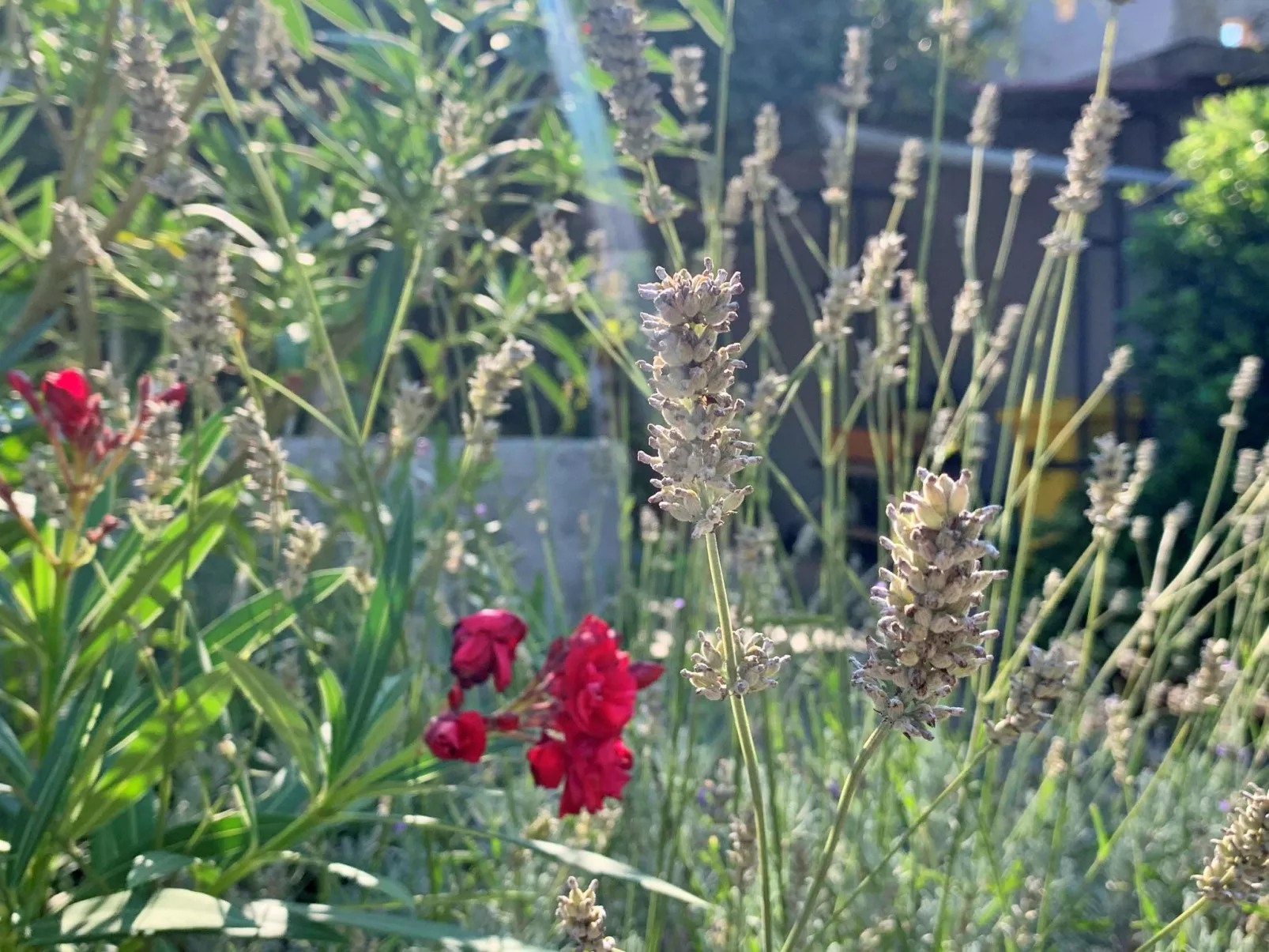 Apartment Gordana-Image-tags.info