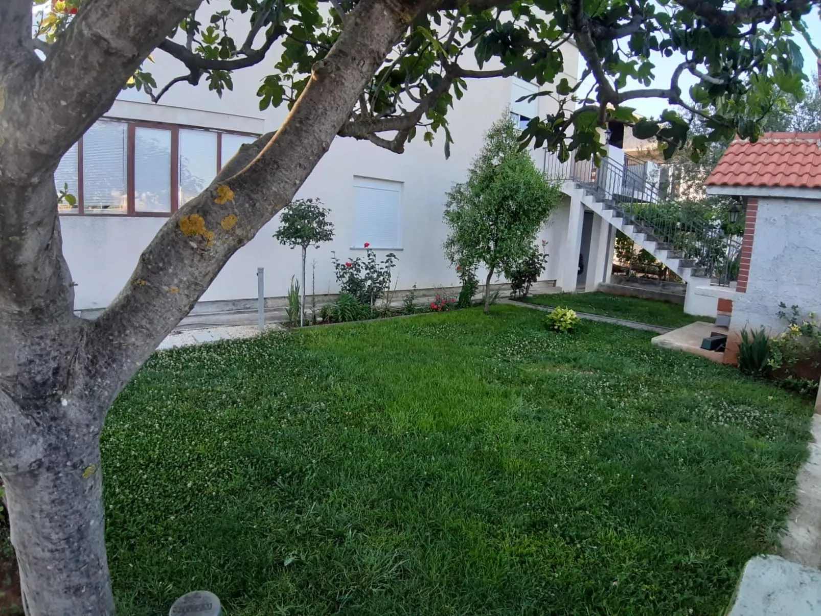 Wohnung mit Balkon-Dehors