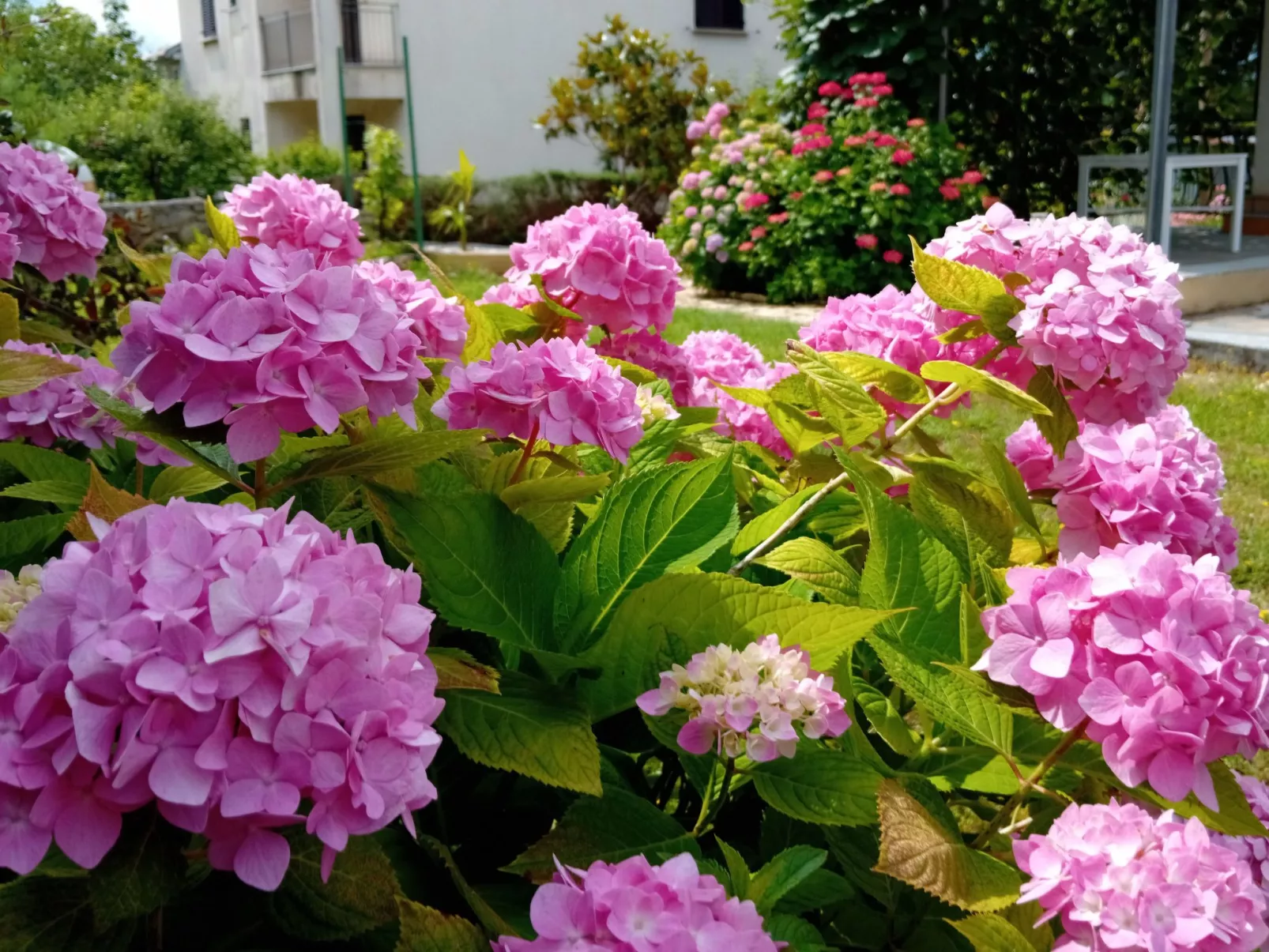 Anwesen "Krasno" mit Terrasse-Image-tags.info