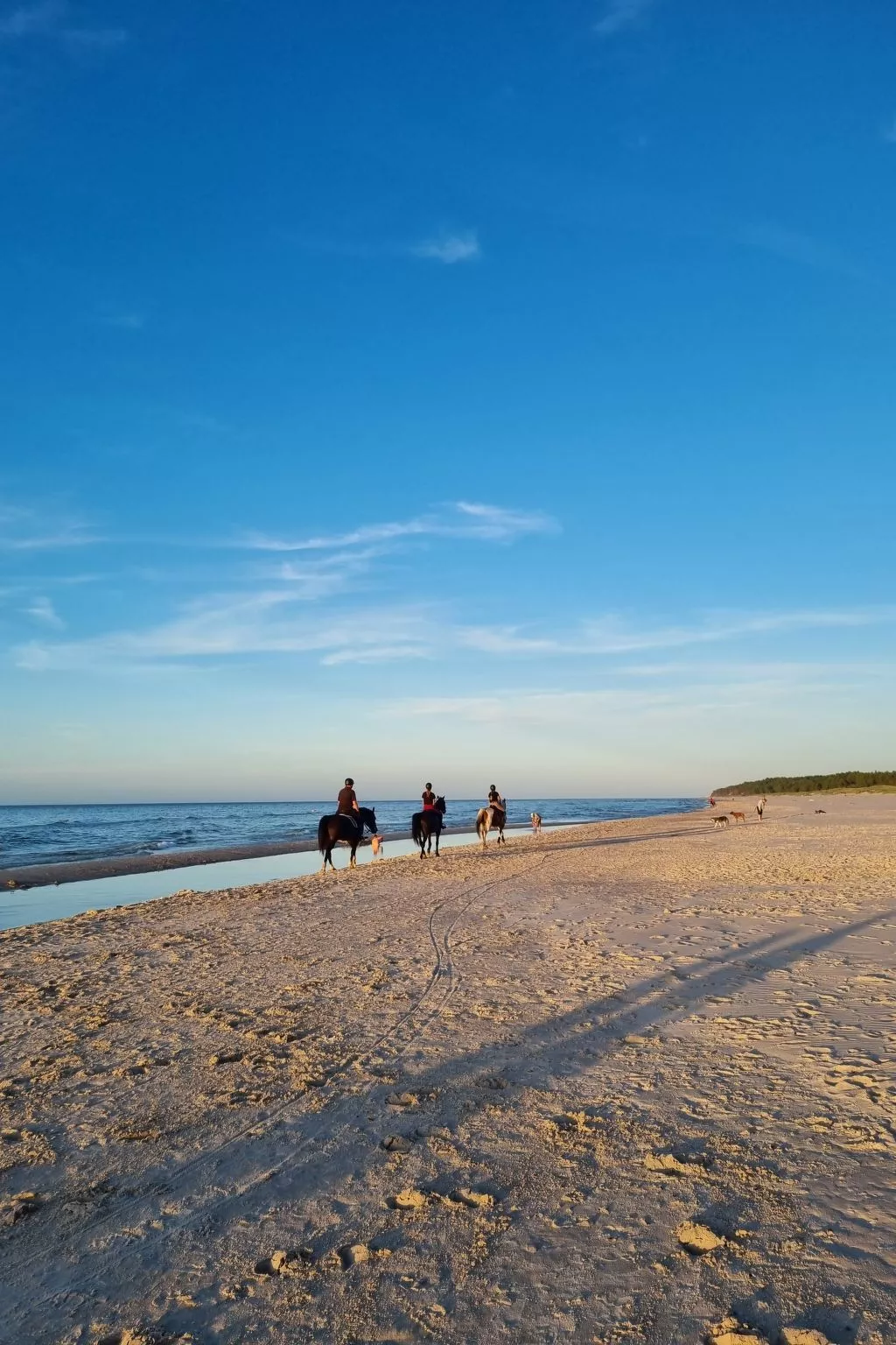 Lublewo21 Ferienhäuser - Draußen