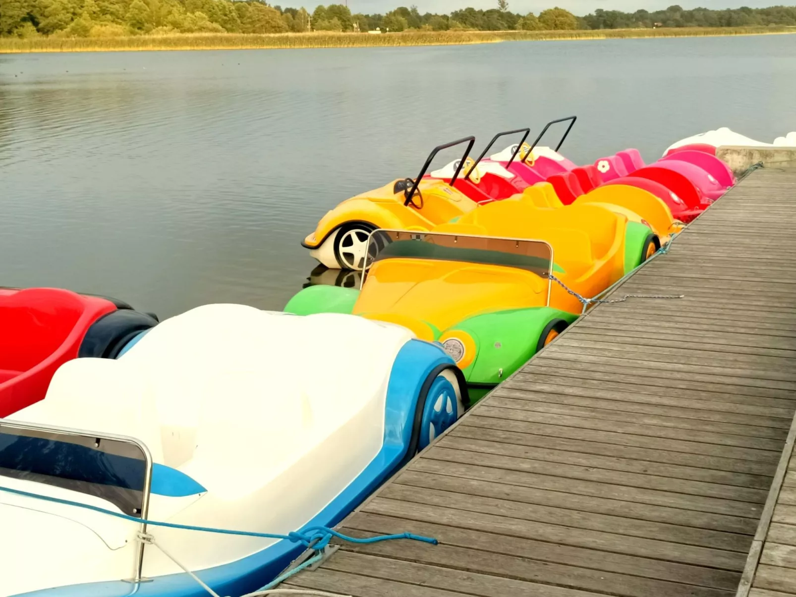 "Paradise Star Bobolin"-Outside